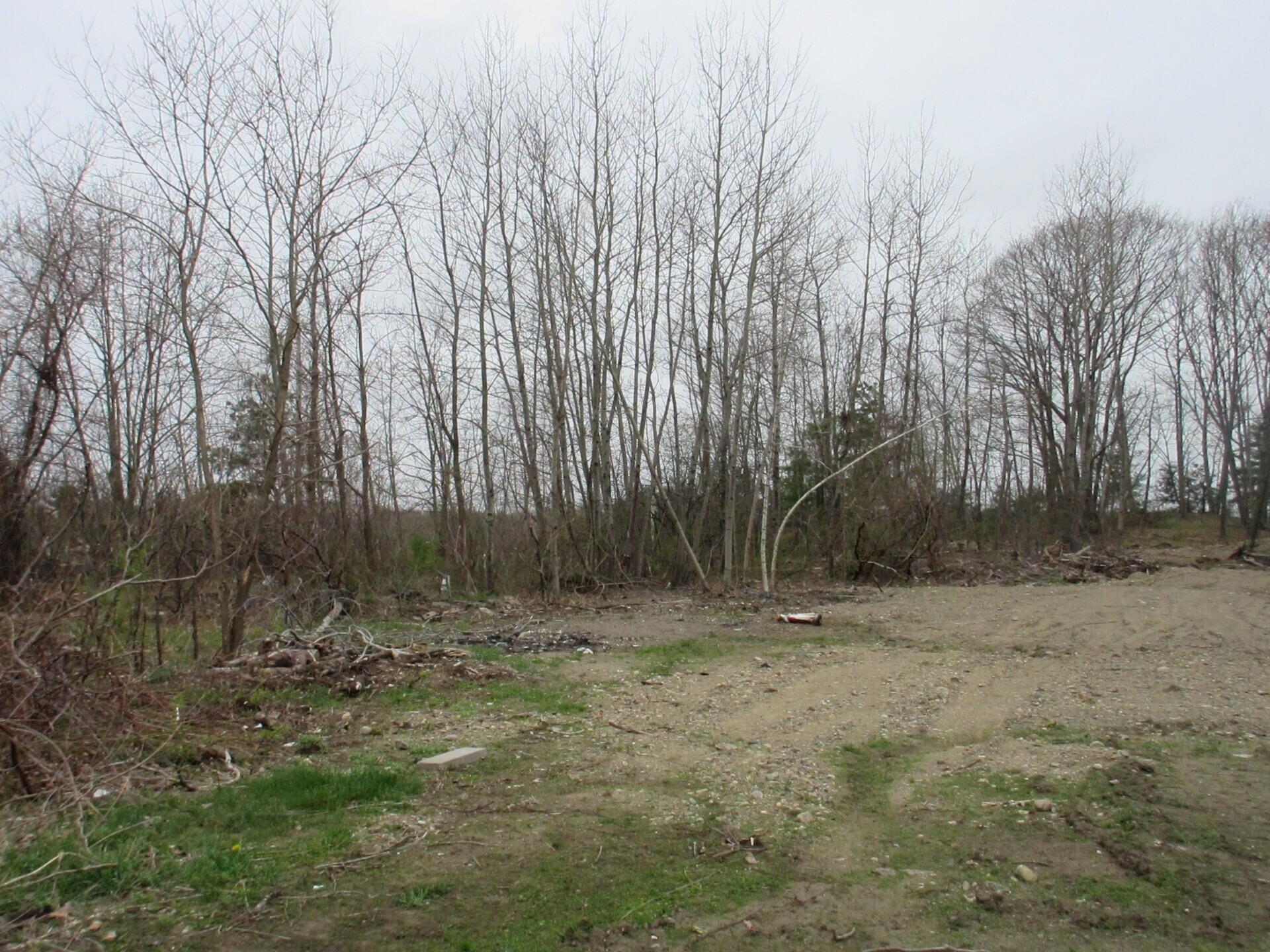532 Elm Street Property Photo 3