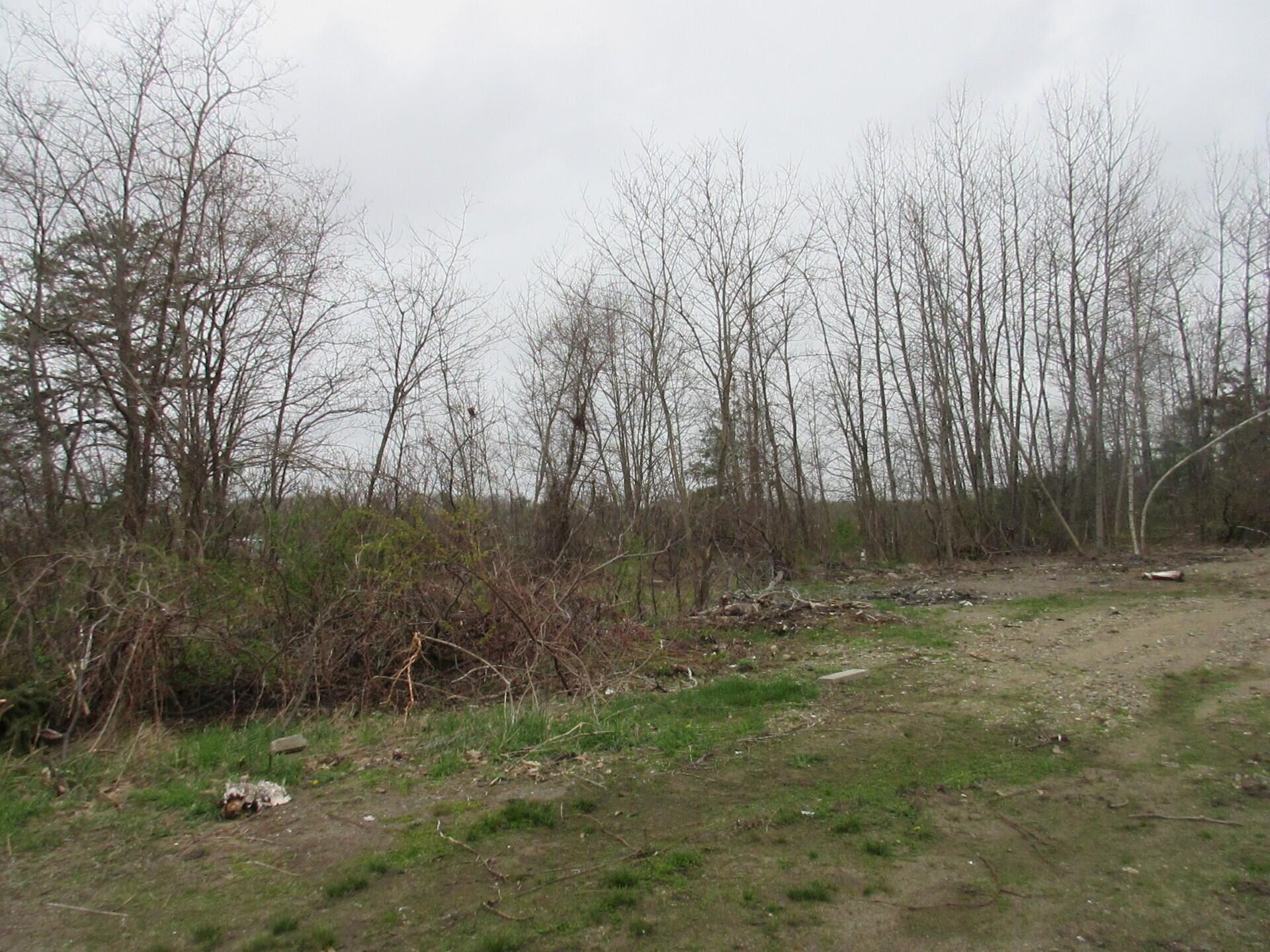 532 Elm Street Property Photo 5
