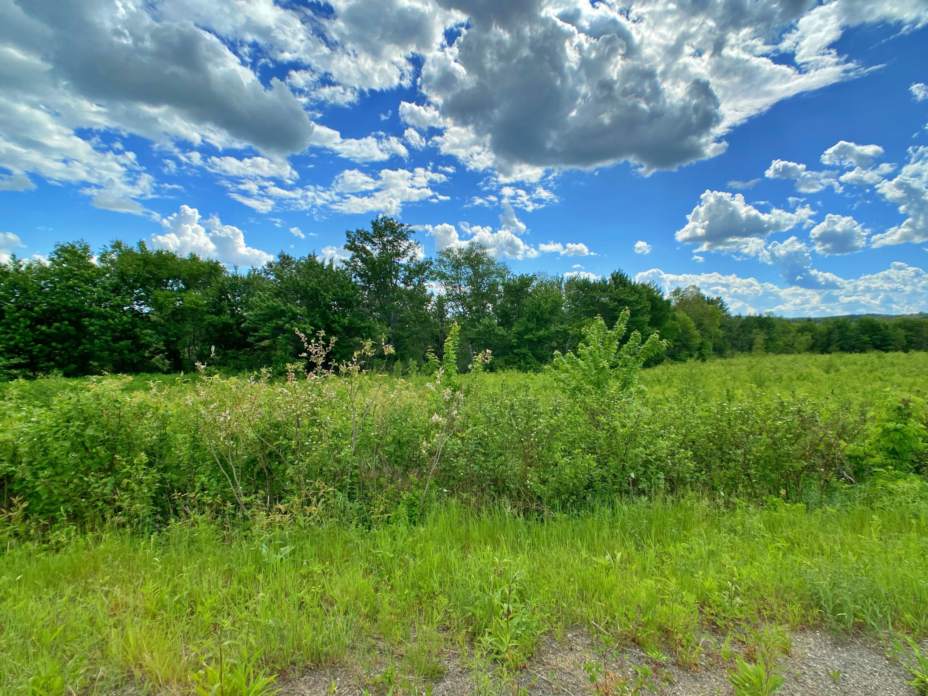 121 Us Rte 1 Property Photo