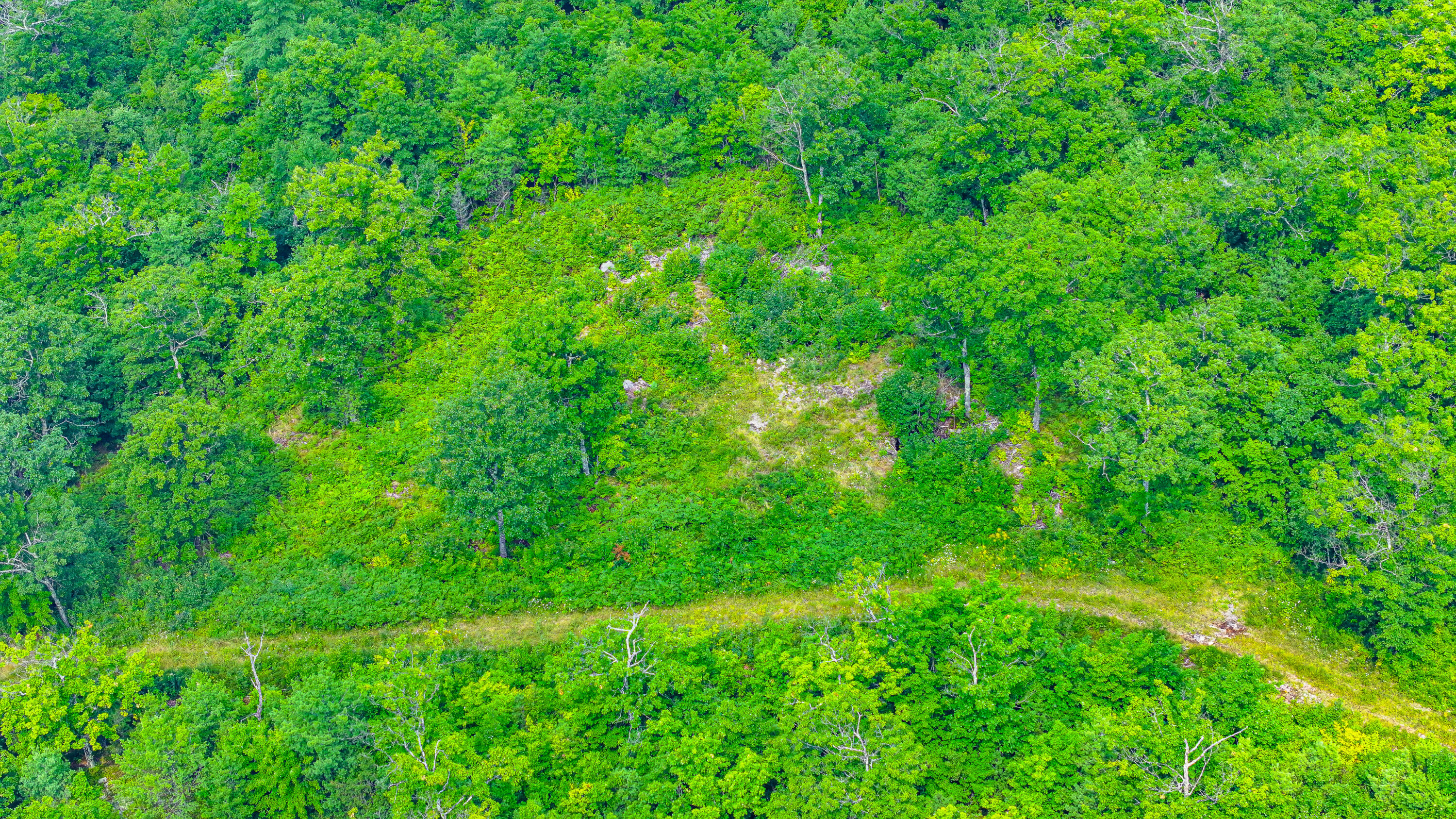 Lot B Mine Road Property Photo 6