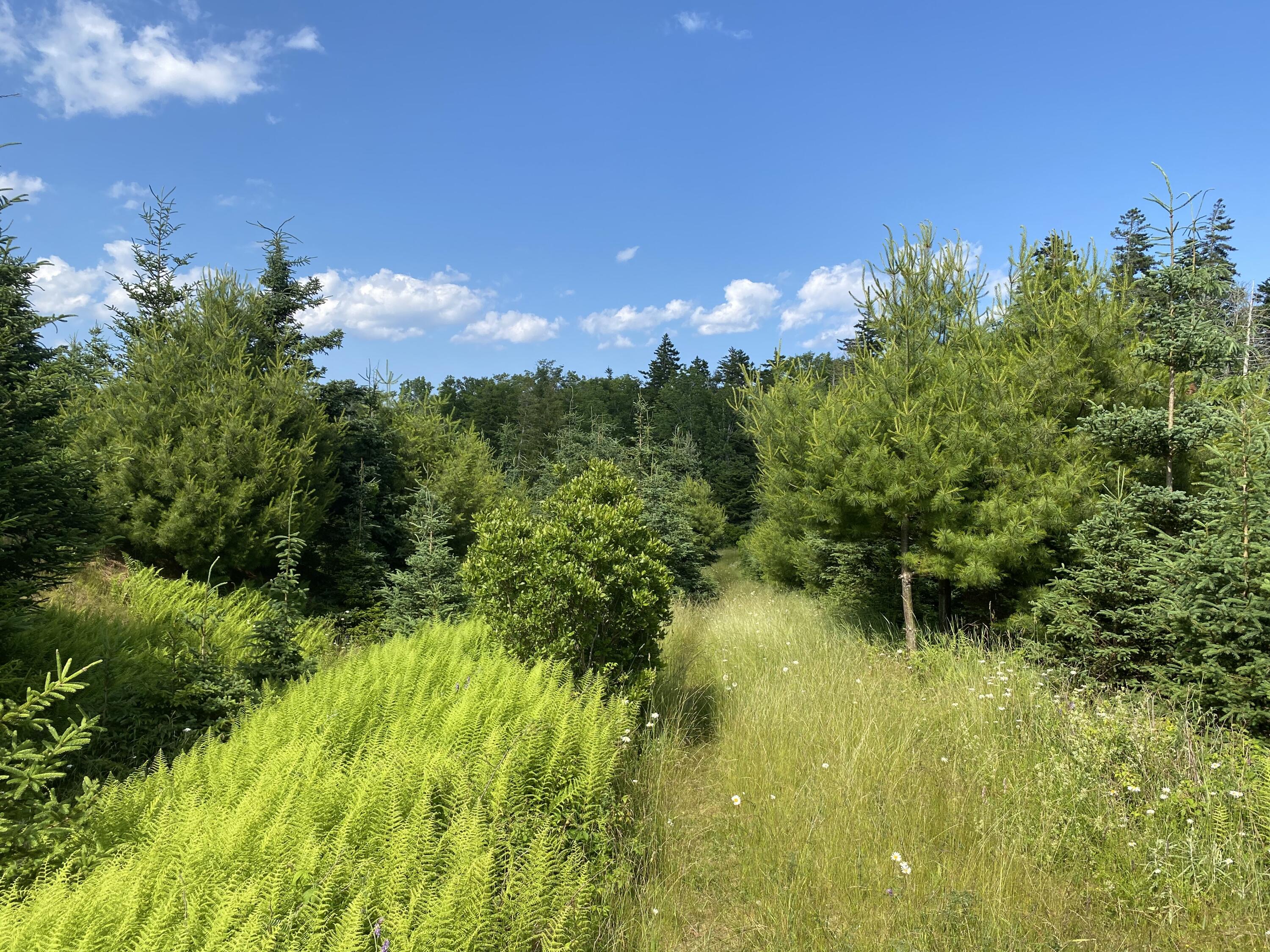 2q Hermit's Point Road Property Photo 9