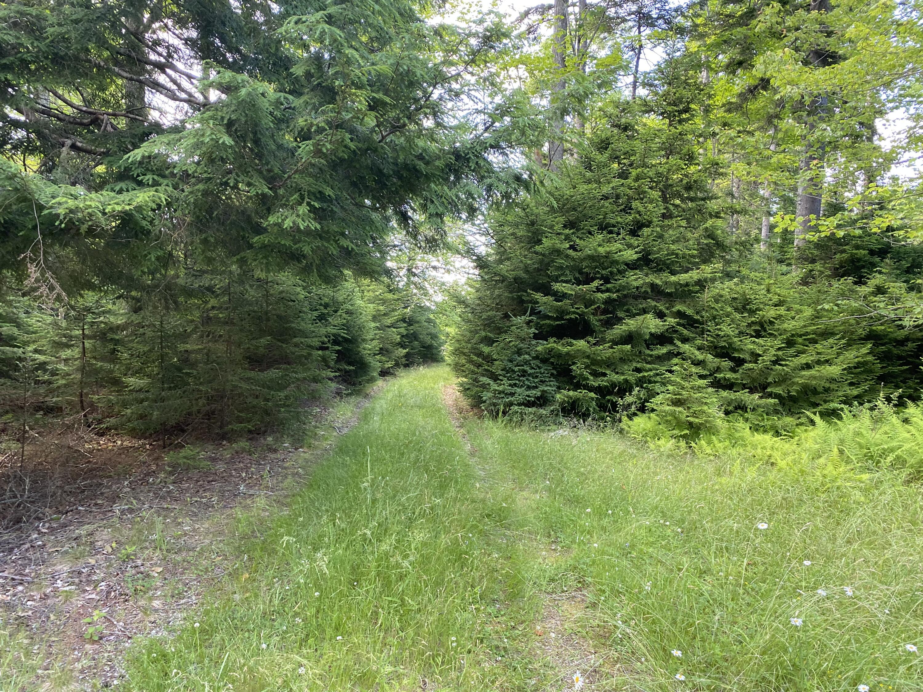 2q Hermit's Point Road Property Photo 10