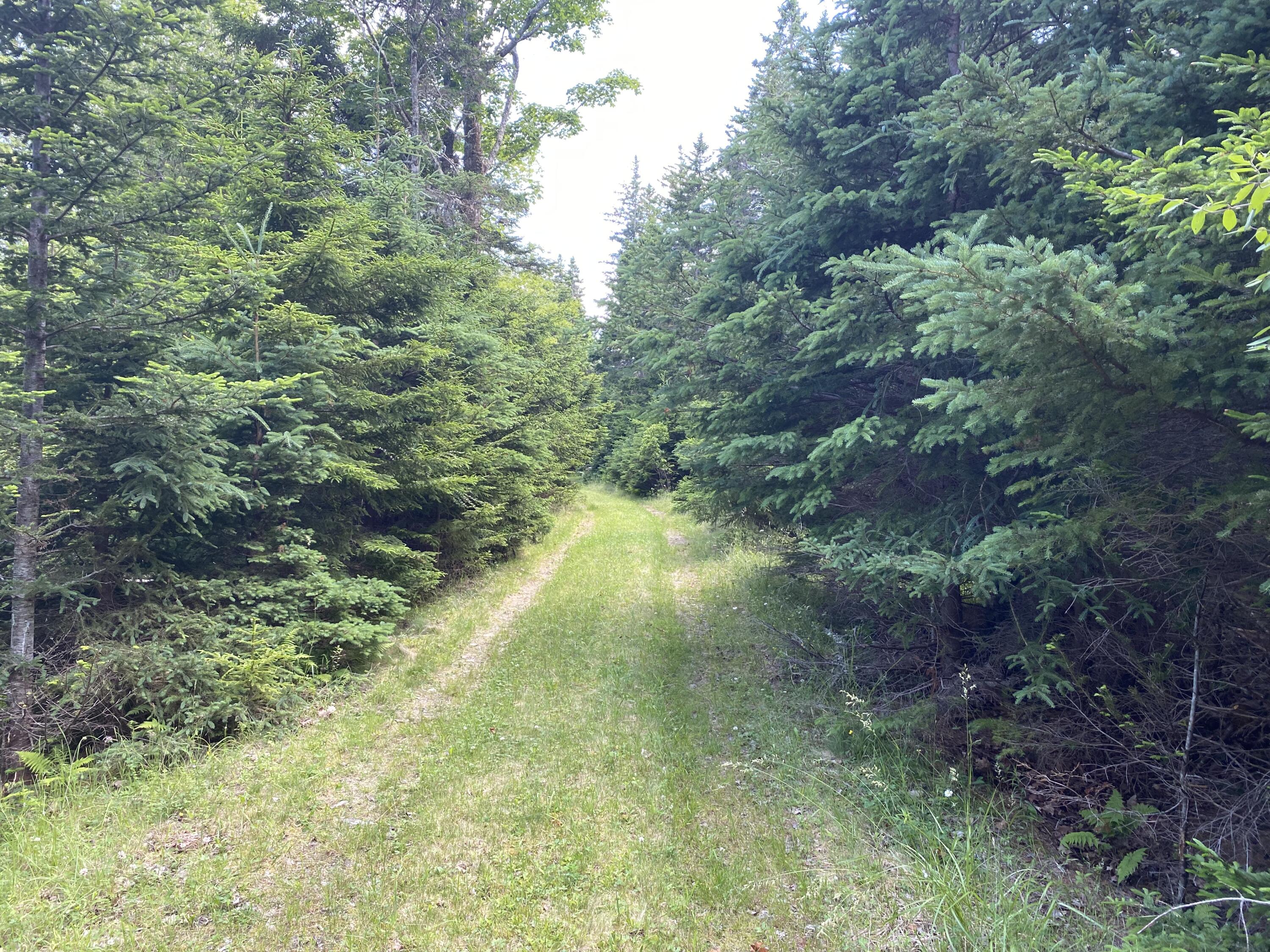 2q Hermit's Point Road Property Photo 11