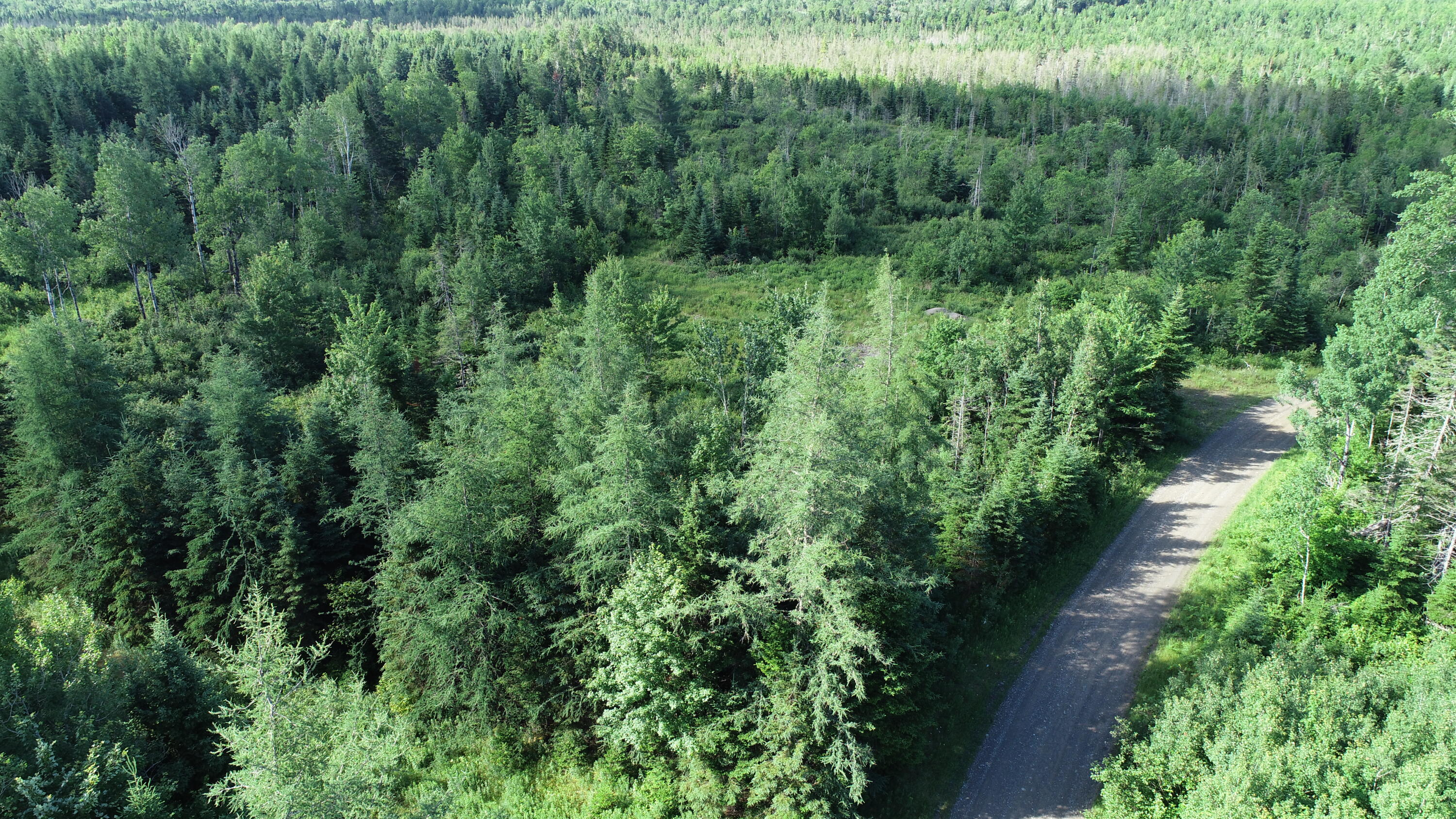 Lot 39 Smith (haney) Road Property Photo 3