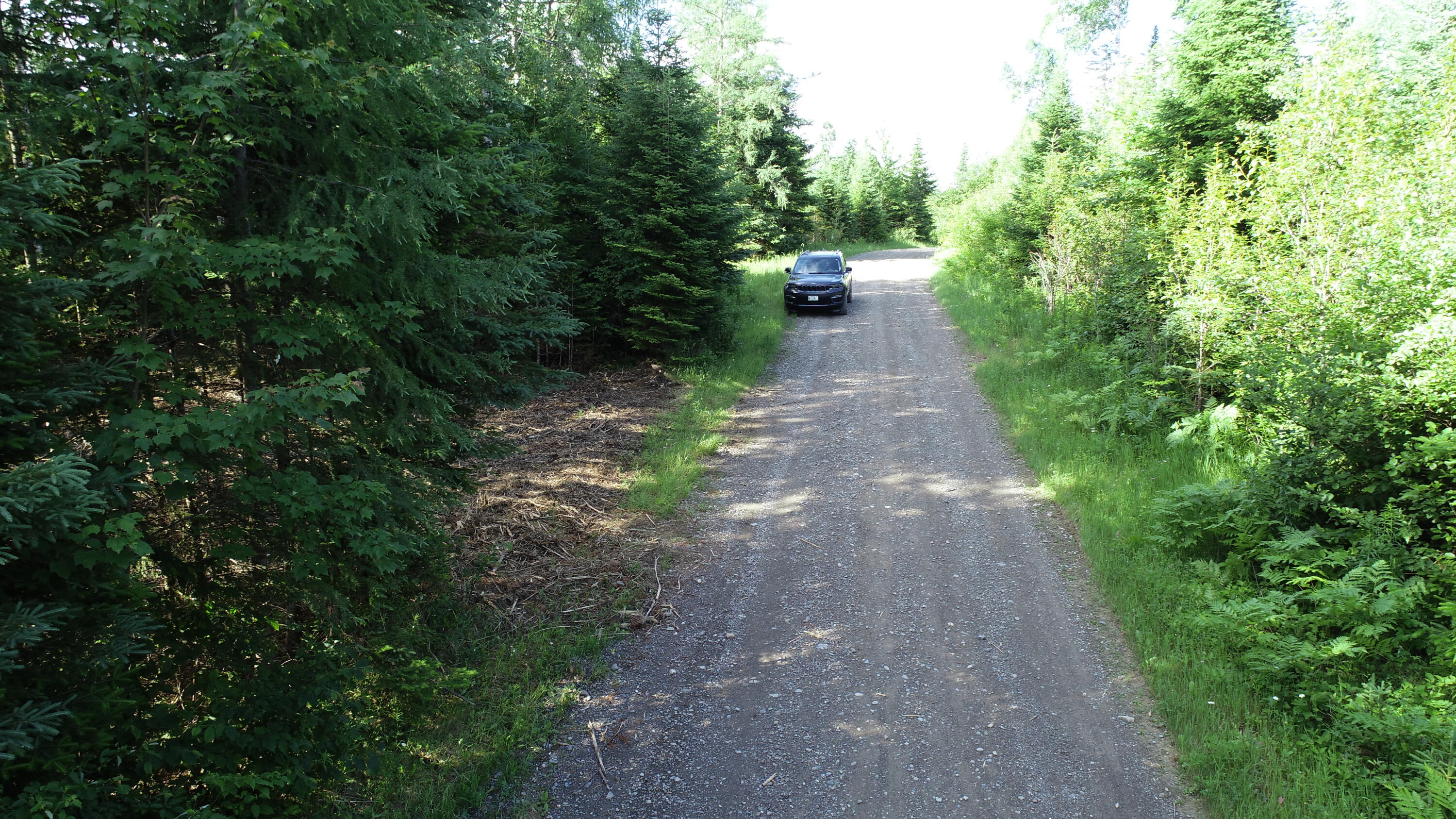 Lot 39 Smith (haney) Road Property Photo 4