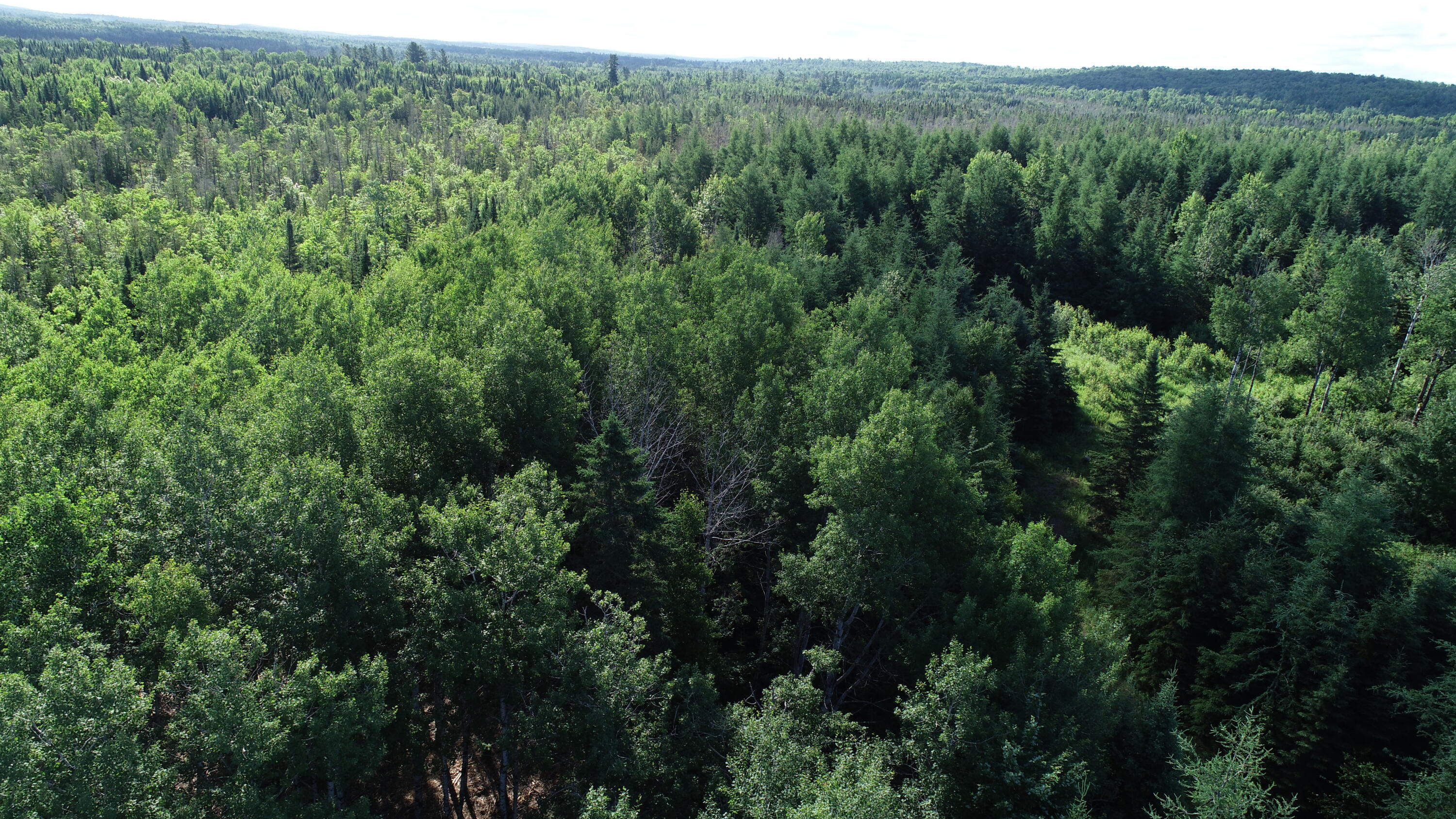 Lot 39 Smith (haney) Road Property Photo 5