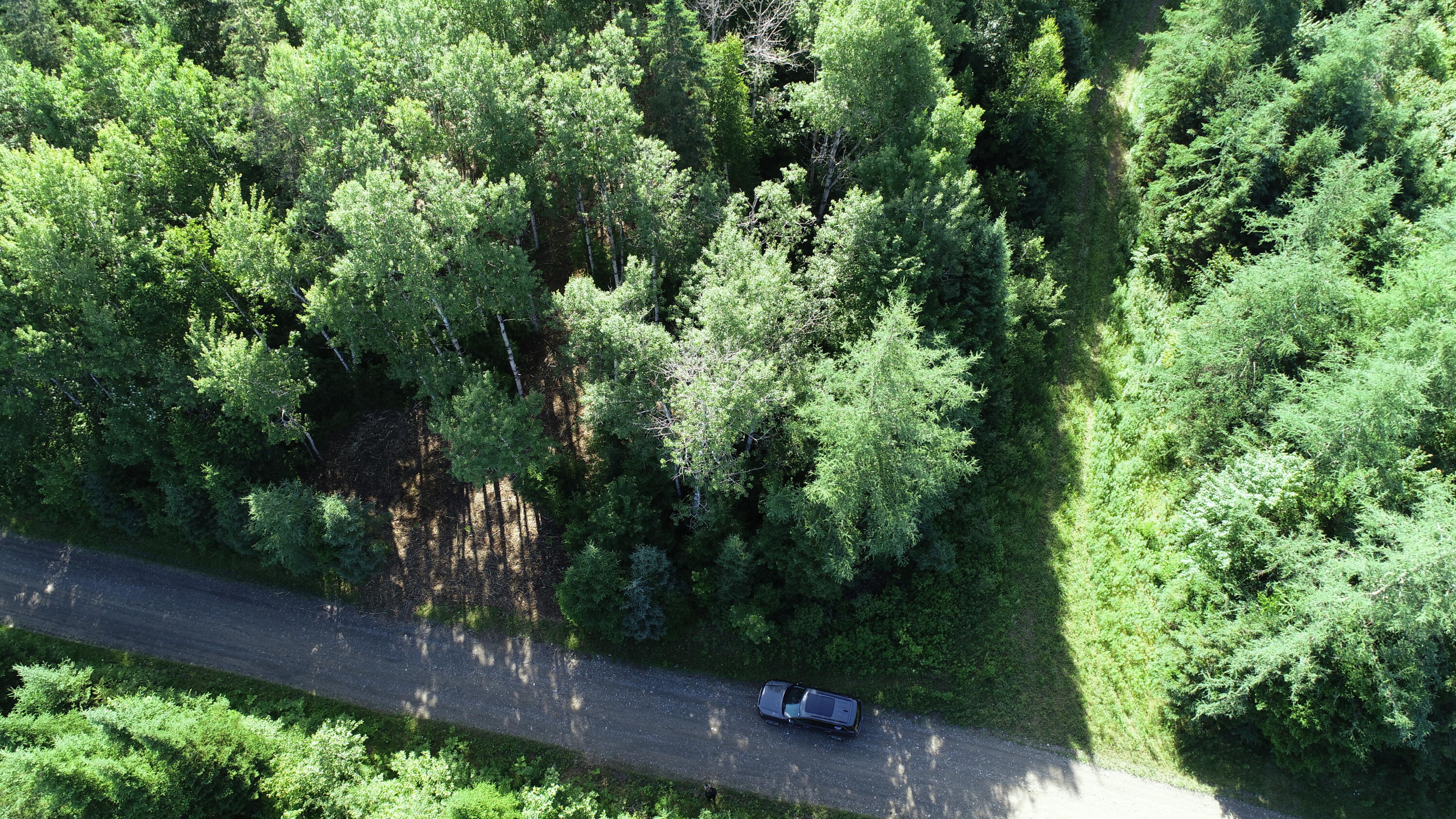 Lot 39 Smith (haney) Road Property Photo 8