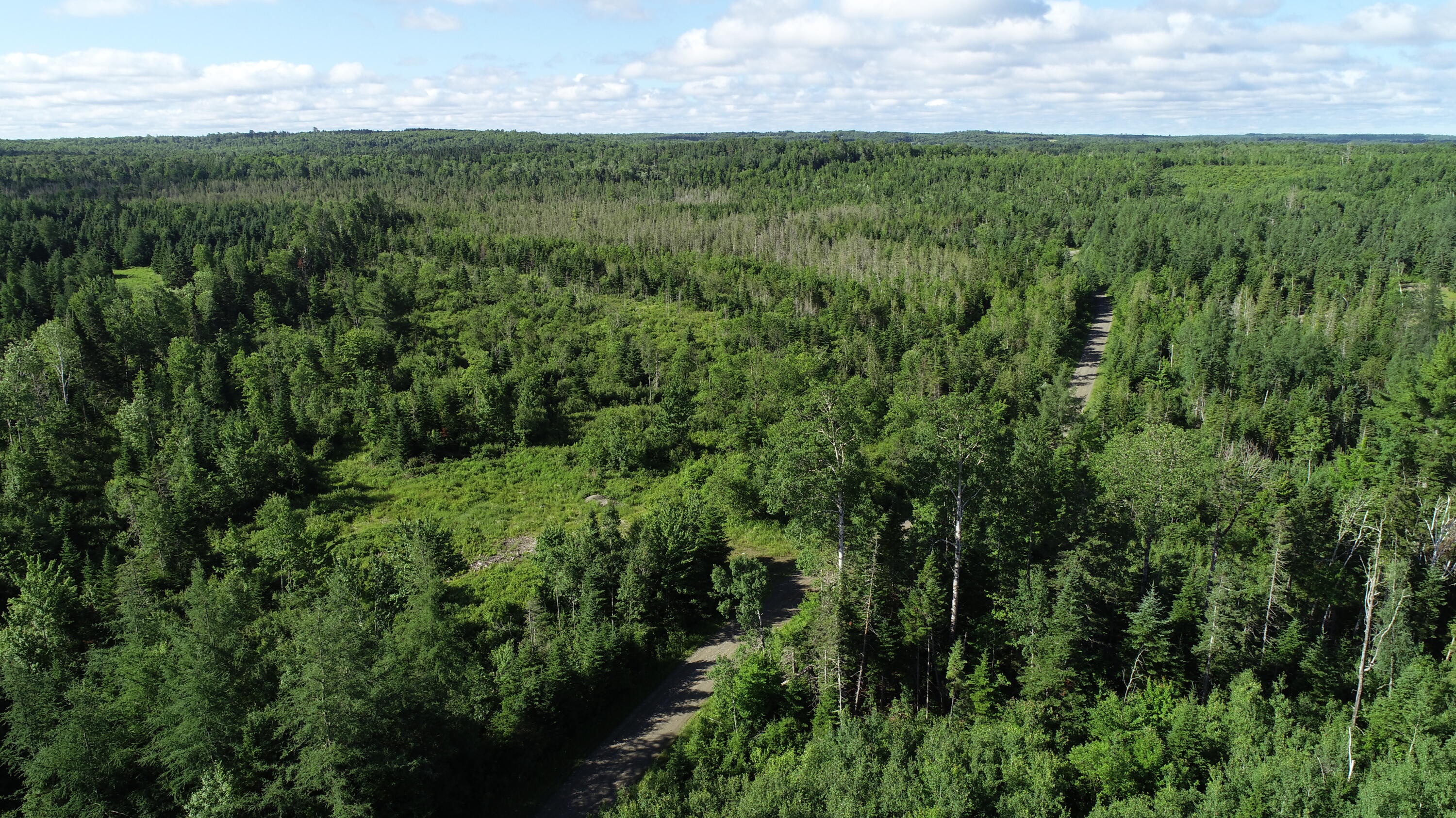 Lot 39 Smith (haney) Road Property Photo 10