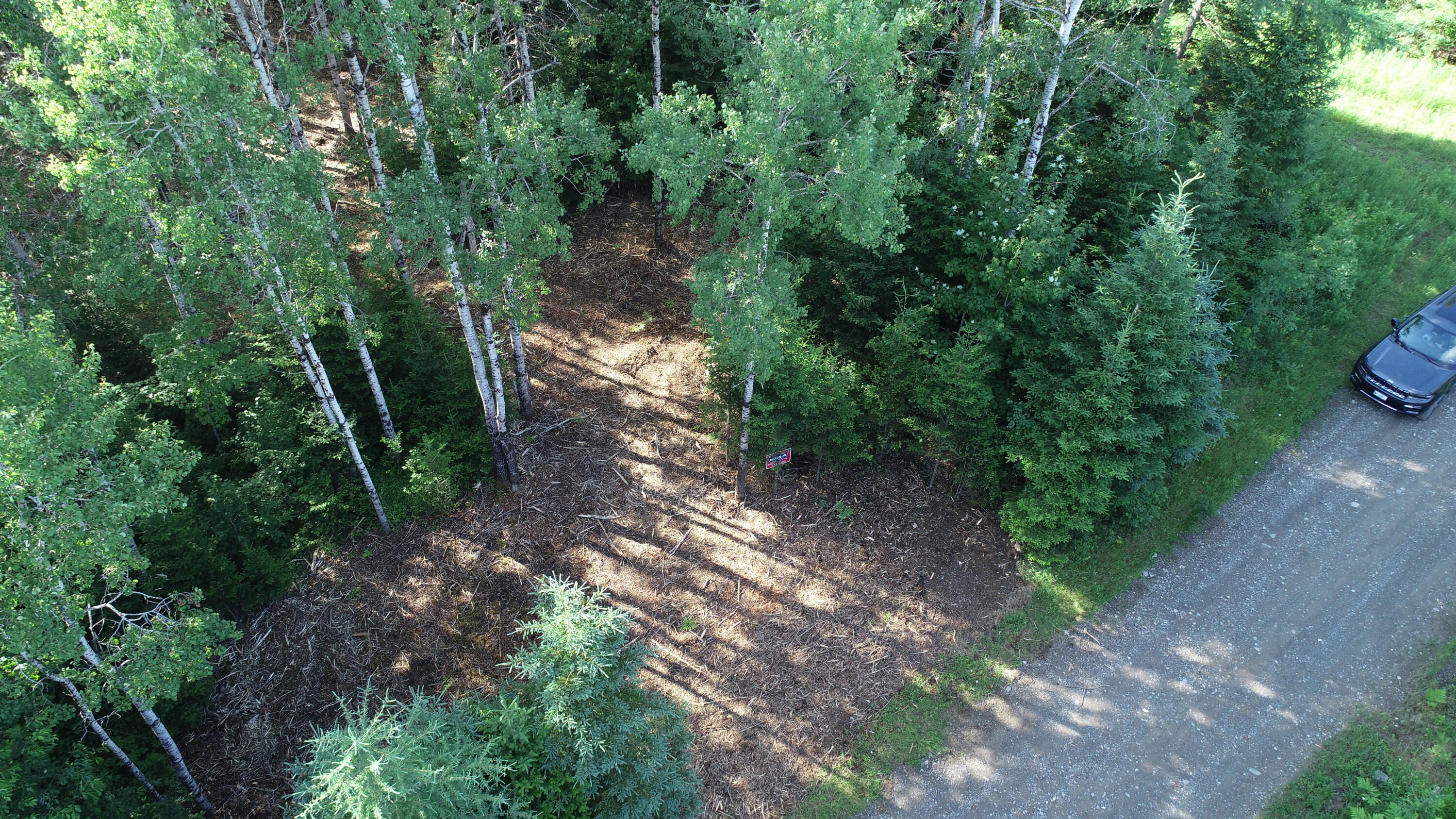 Lot 39 Smith (haney) Road Property Photo 11