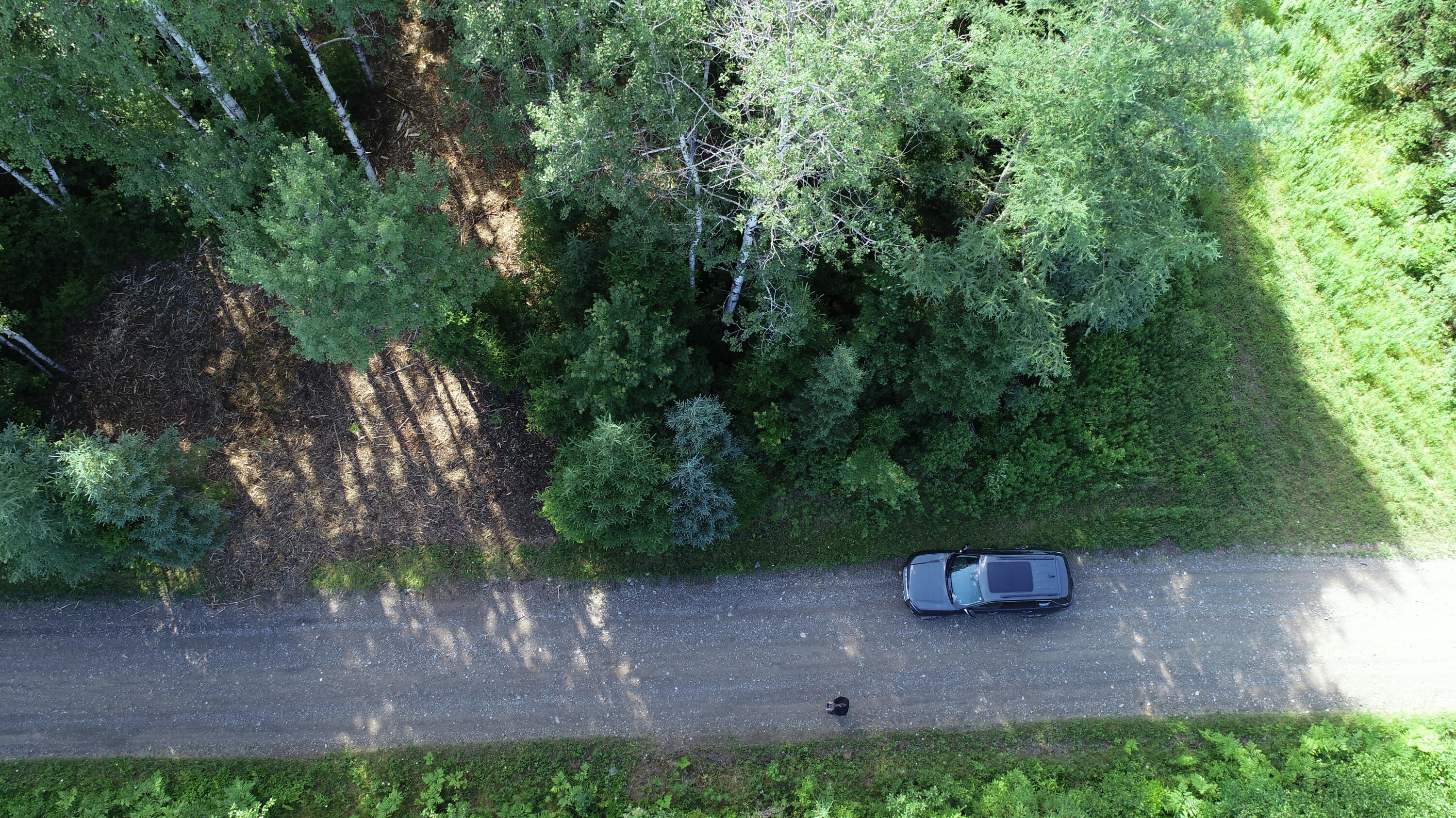 Lot 39 Smith (haney) Road Property Photo 12