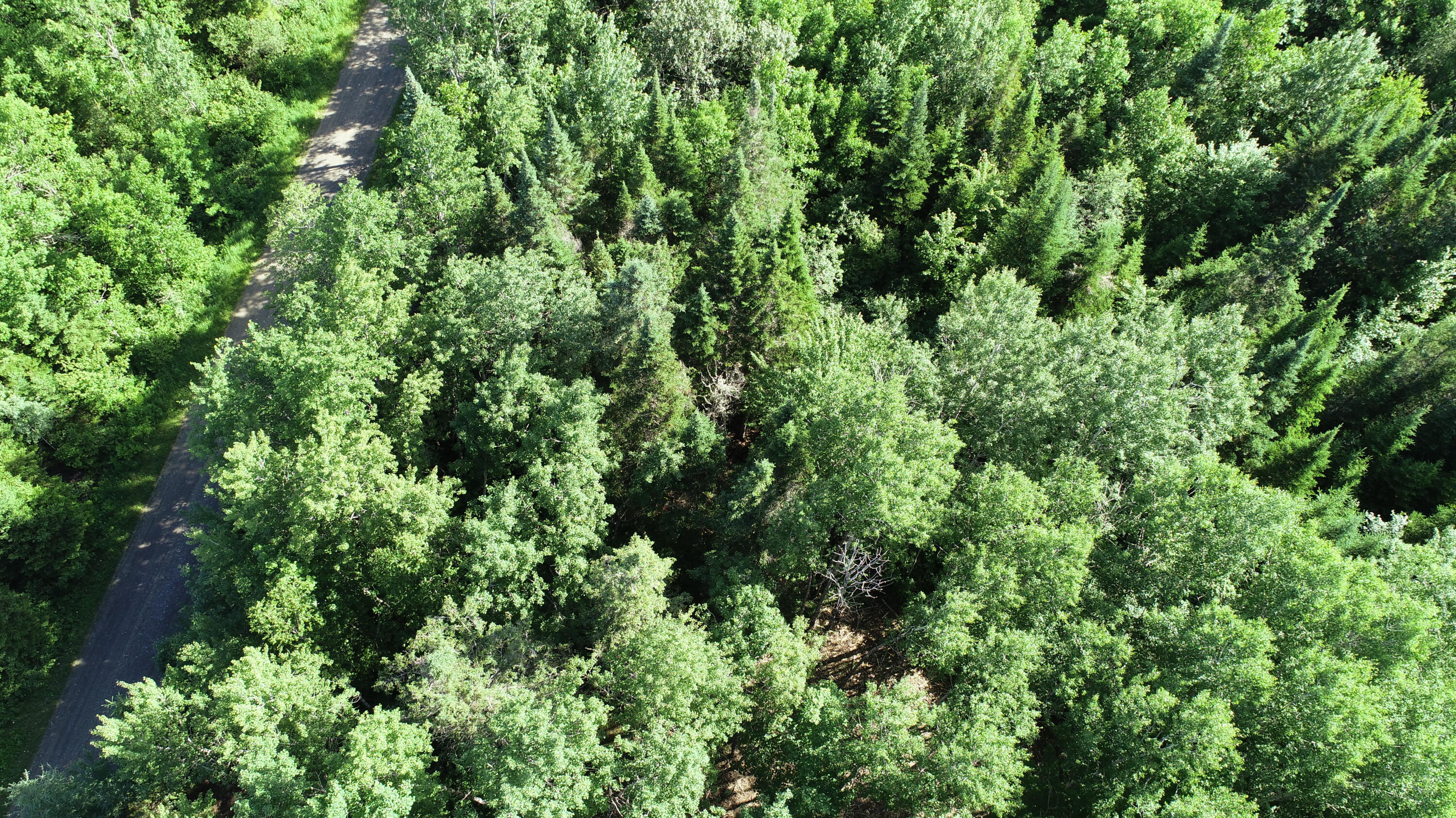 Lot 39 Smith (haney) Road Property Photo 13