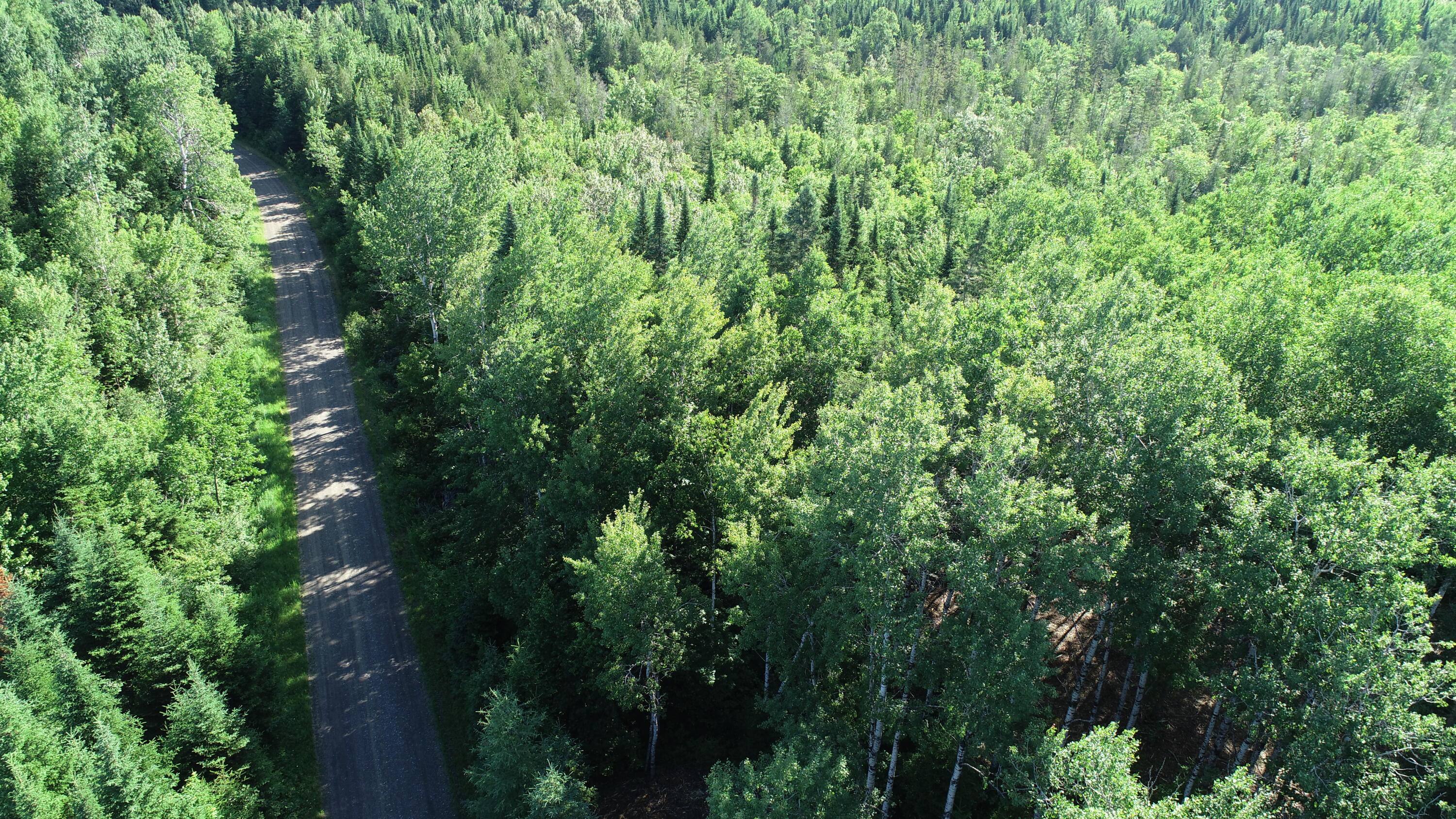 Lot 39 Smith (haney) Road Property Photo 14