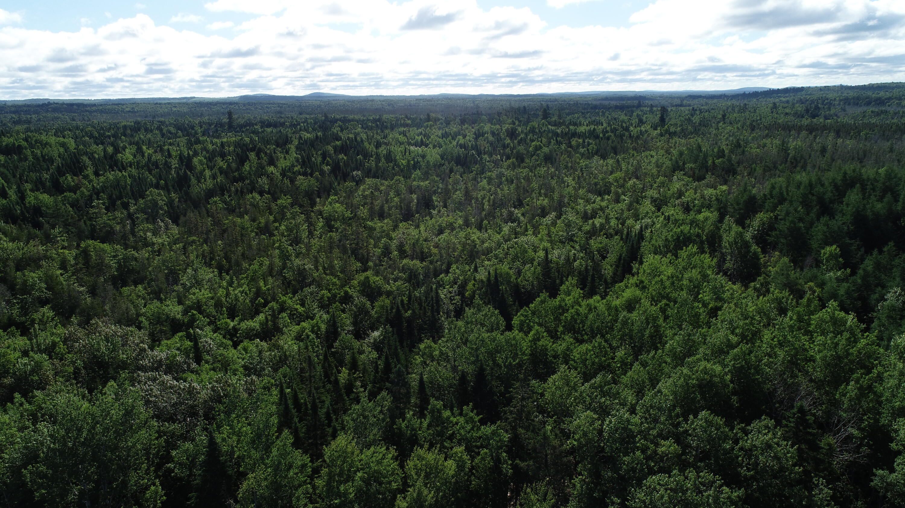 Lot 39 Smith (haney) Road Property Photo 15