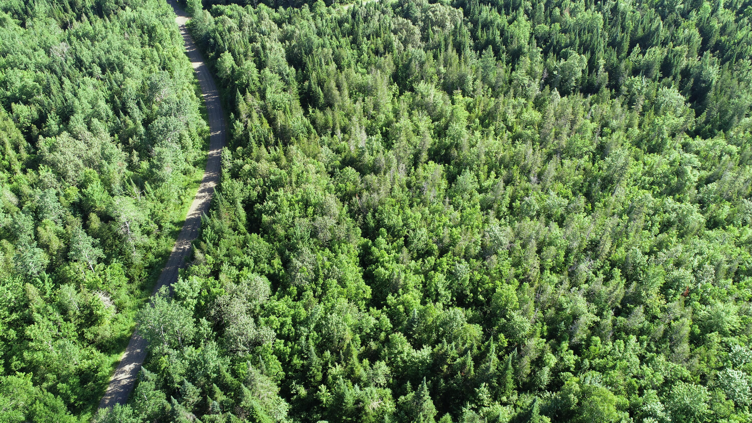 Lot 39 Smith (haney) Road Property Photo 16
