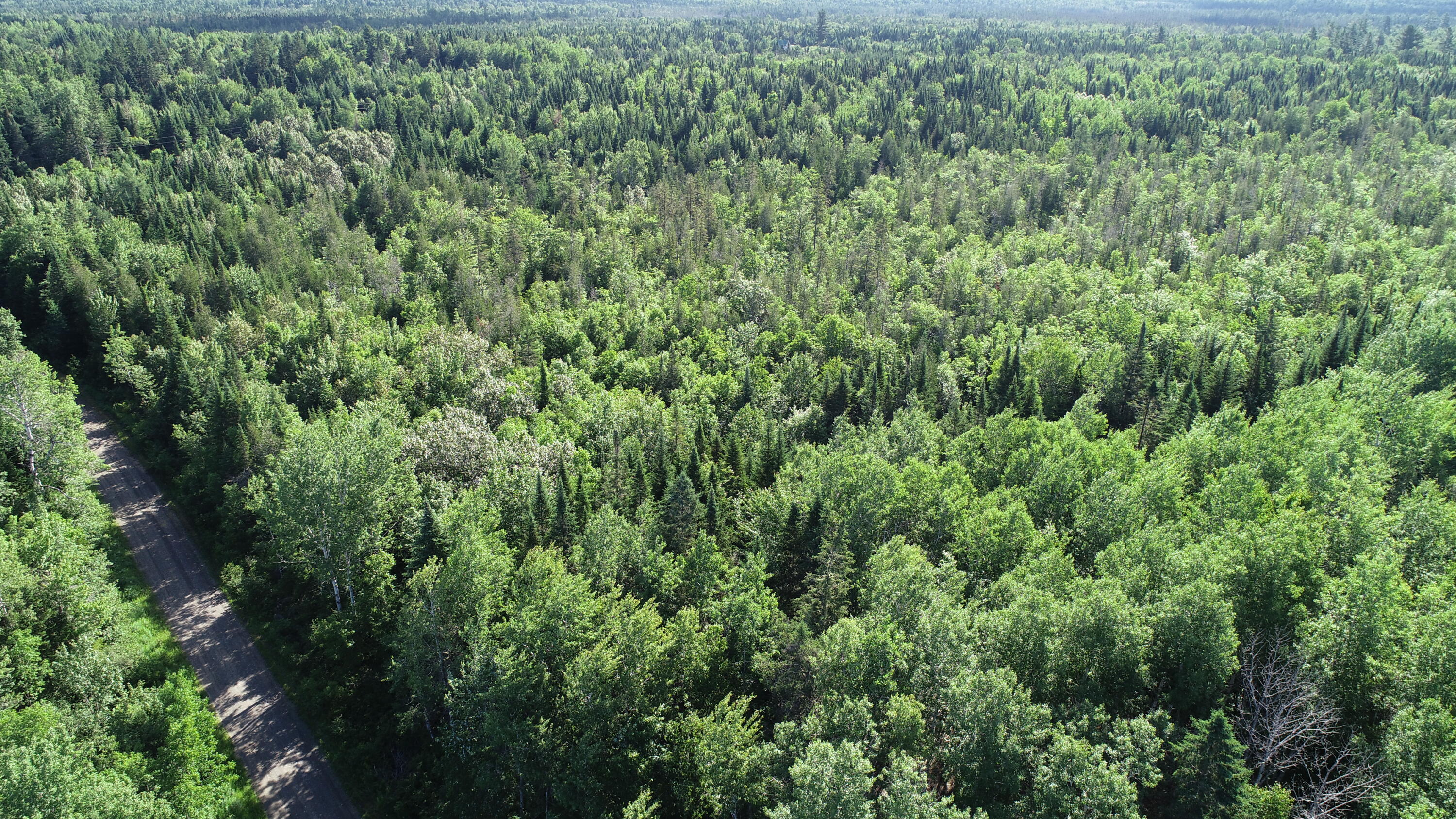 Lot 39 Smith (haney) Road Property Photo 17