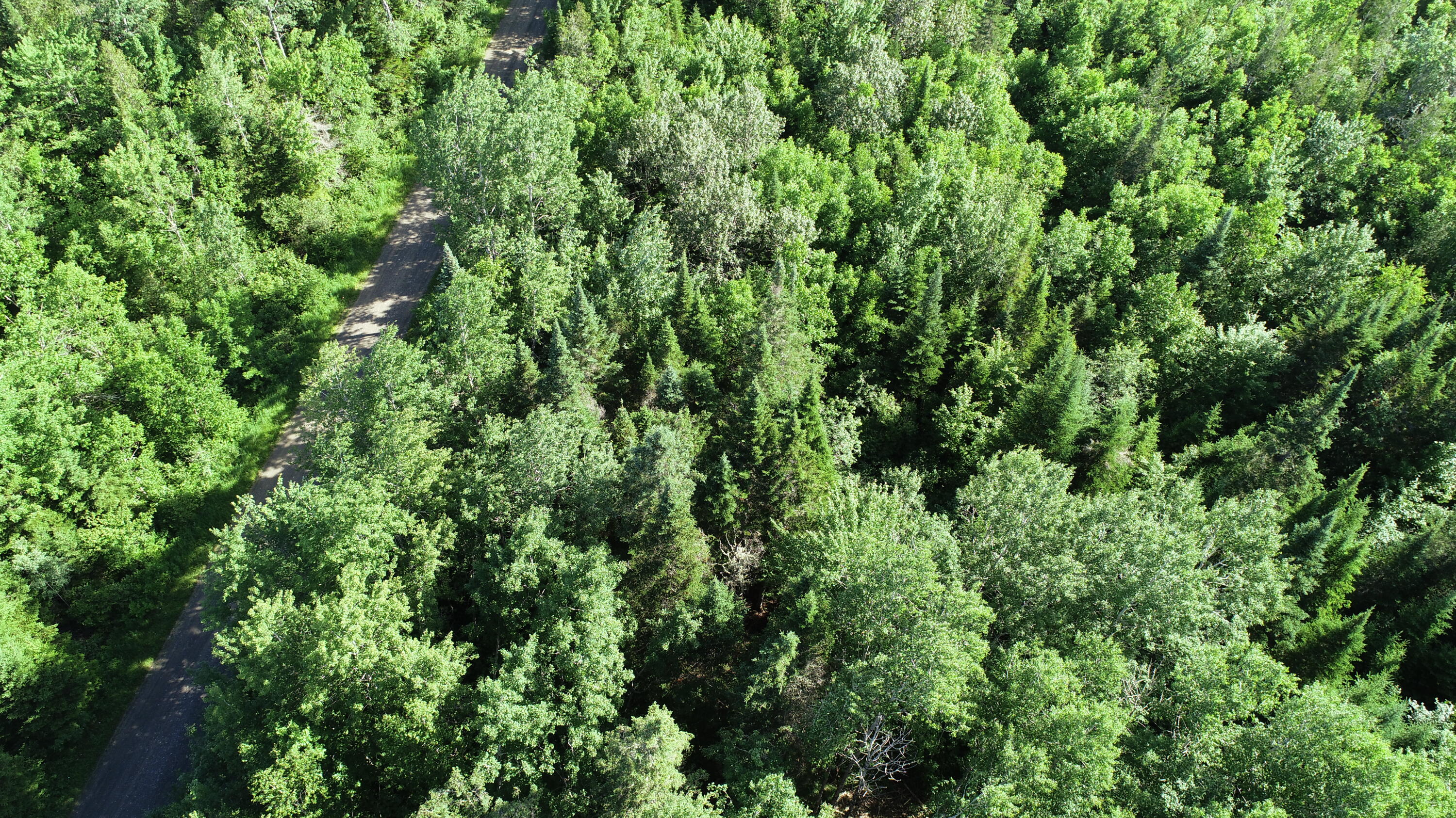 Lot 39 Smith (haney) Road Property Photo 18