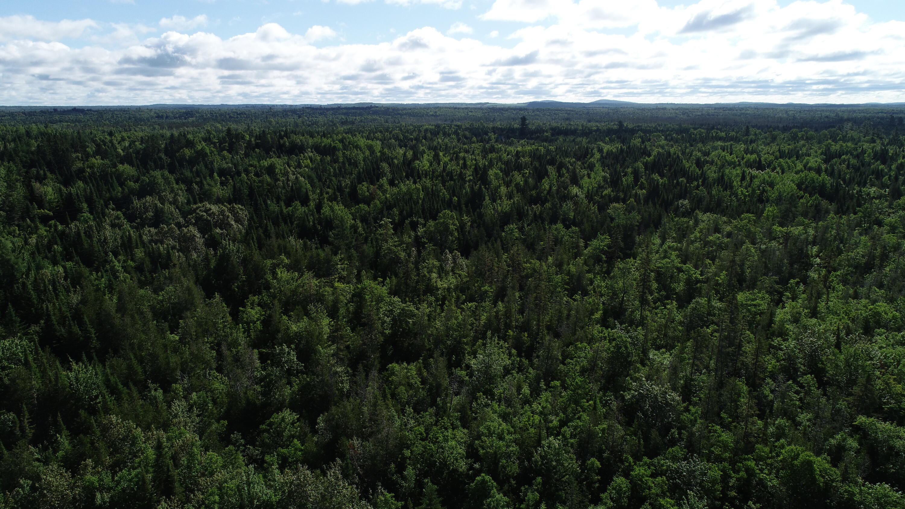 Lot 39 Smith (haney) Road Property Photo 19