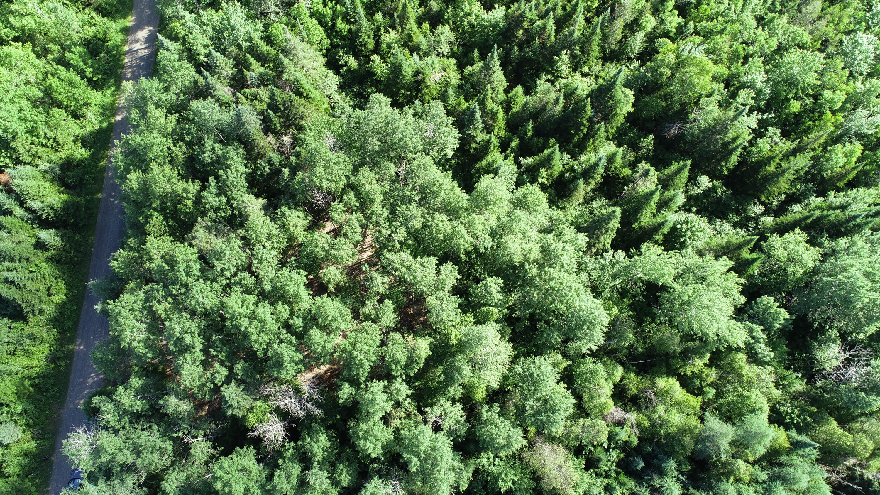 Lot 39 Smith (haney) Road Property Photo 20