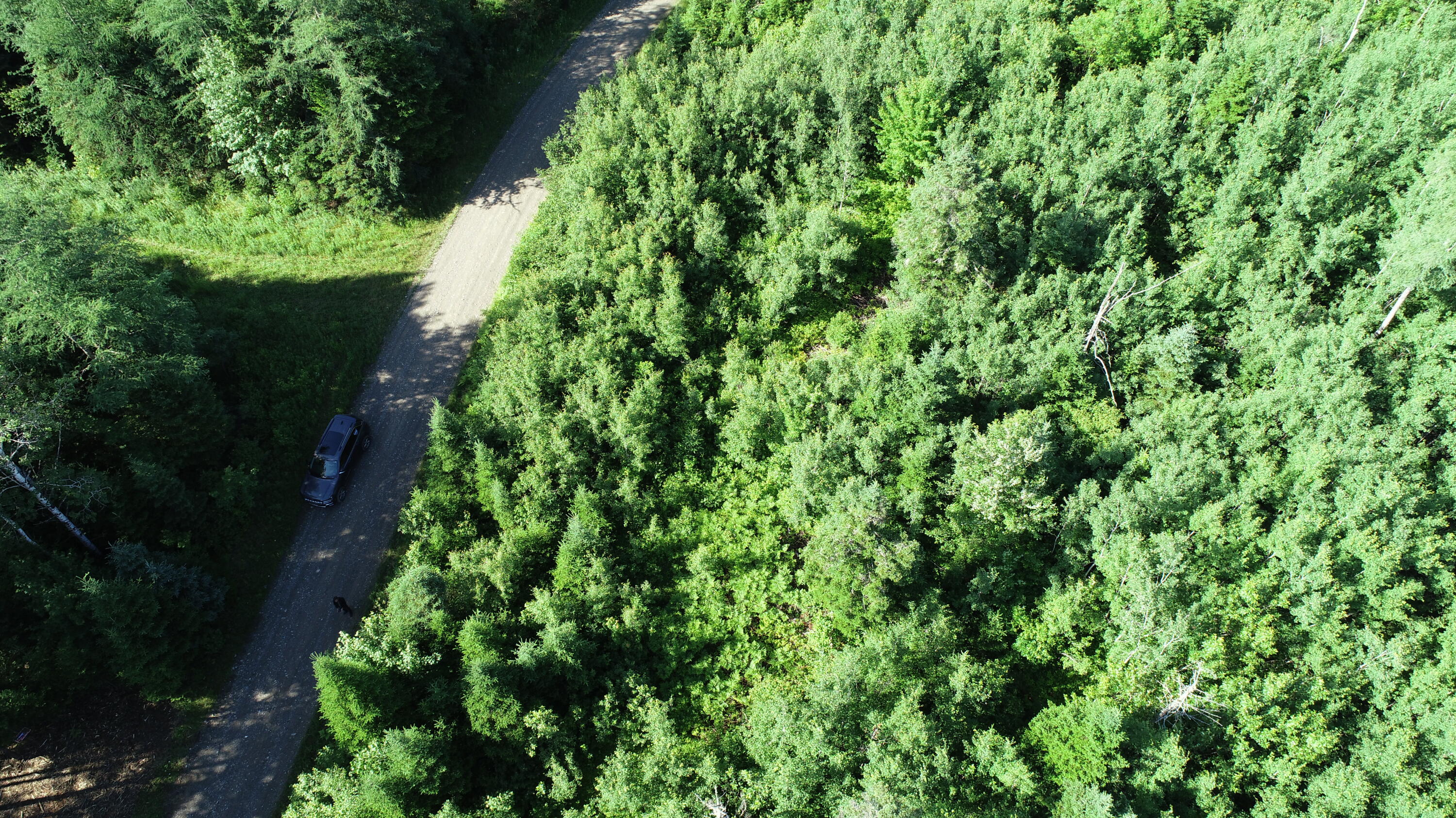 Lot 39 Smith (haney) Road Property Photo 21
