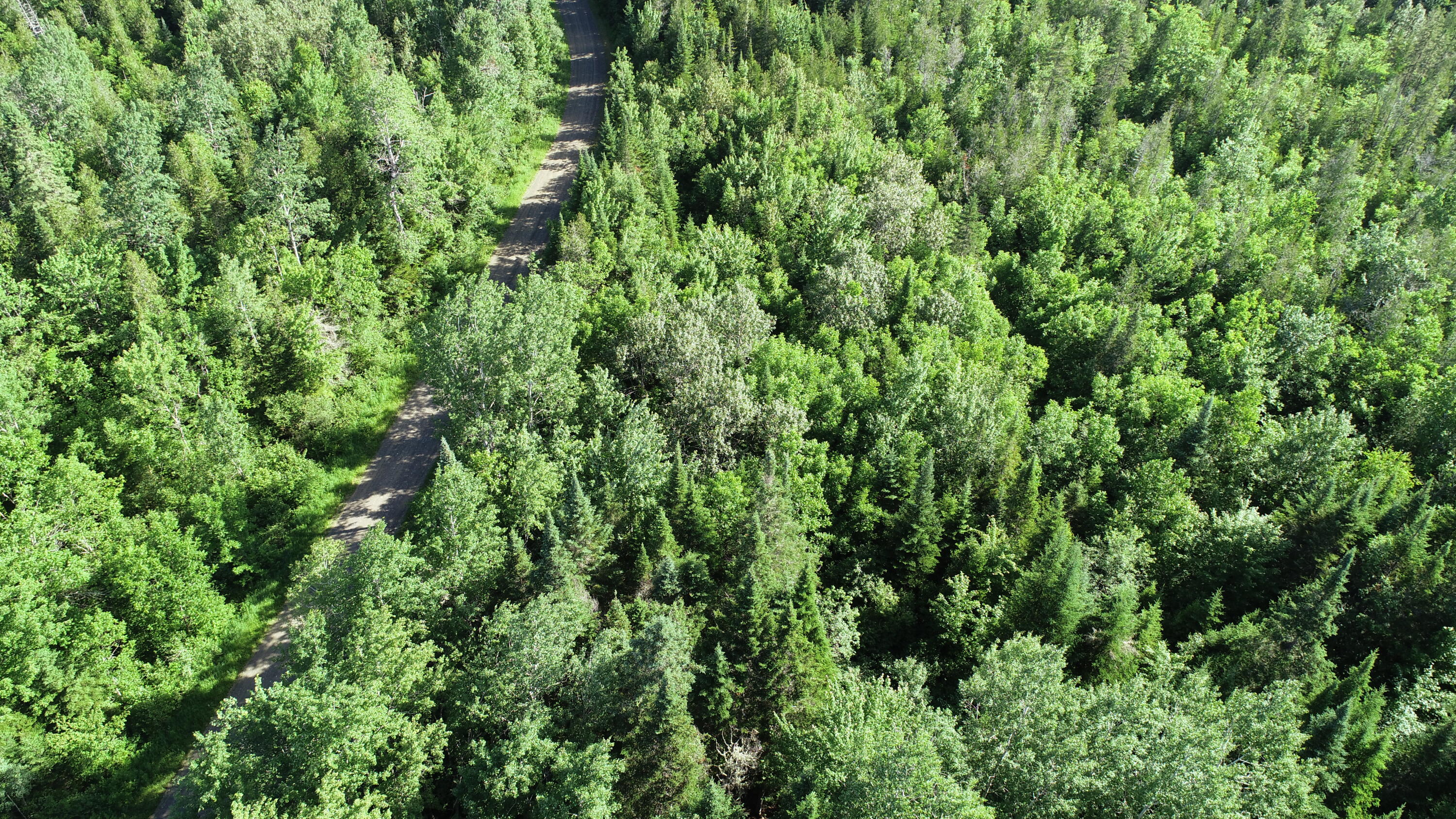 Lot 39 Smith (haney) Road Property Photo 22