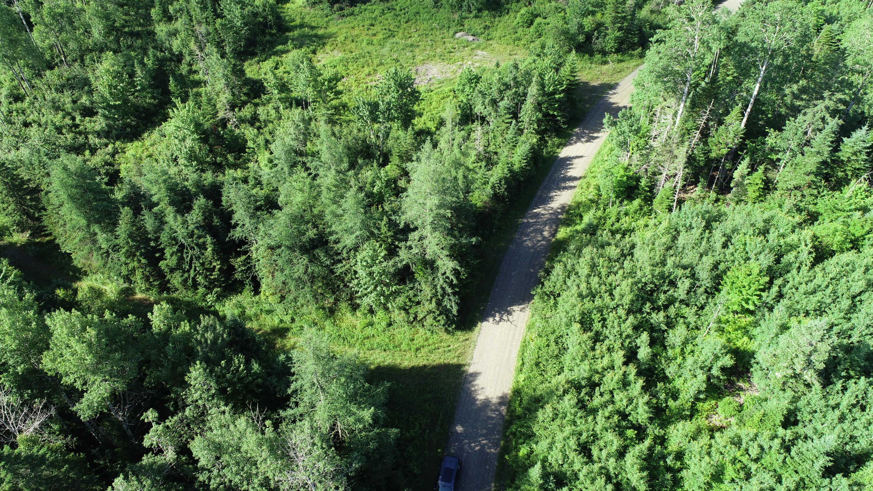 Lot 39 Smith (haney) Road Property Photo 23