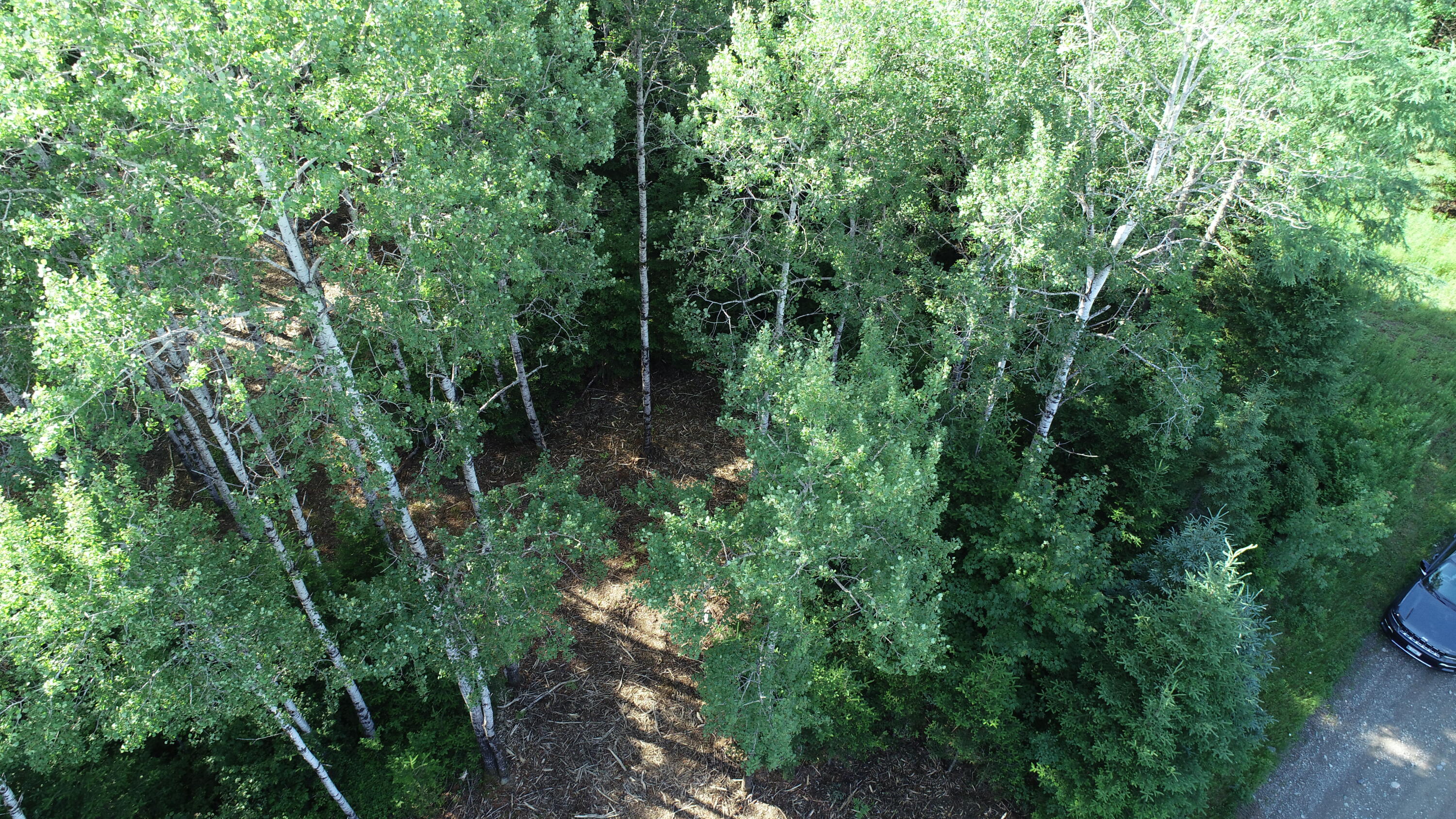 Lot 39 Smith (haney) Road Property Photo 24