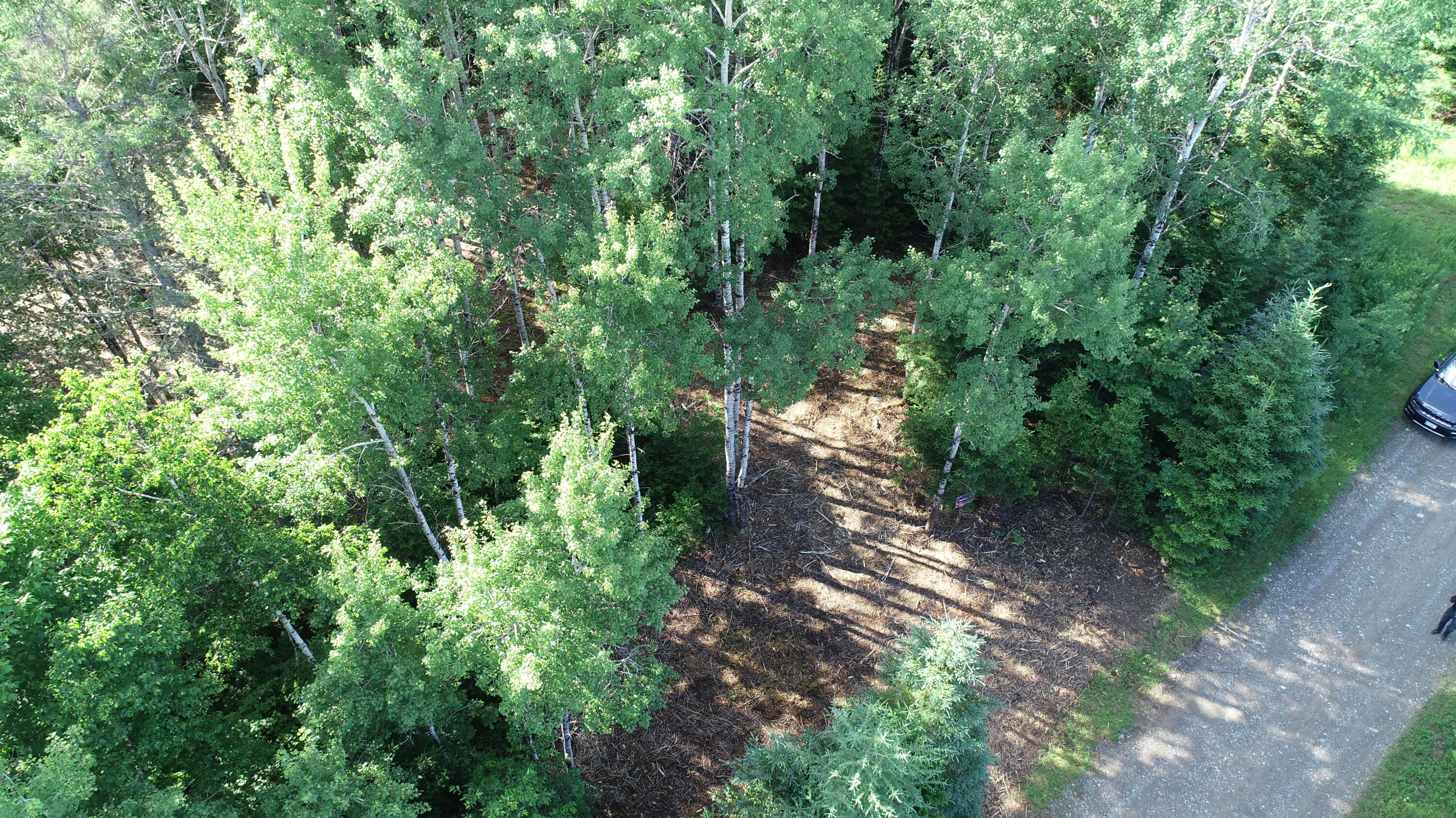 Lot 39 Smith (haney) Road Property Photo 25