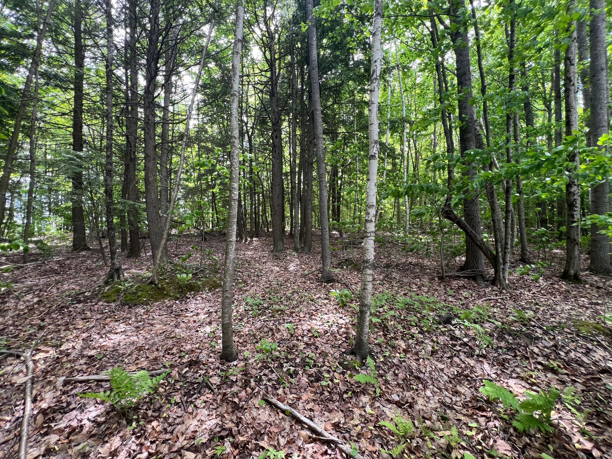 Map 1 Lot 10-10 Sheridan Drive Property Photo 9