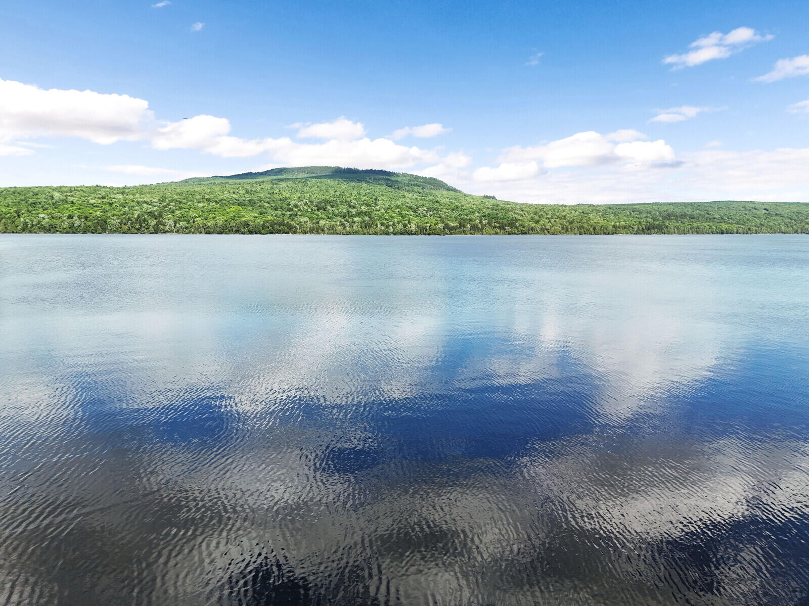 6003 Main Street Property Photo 18