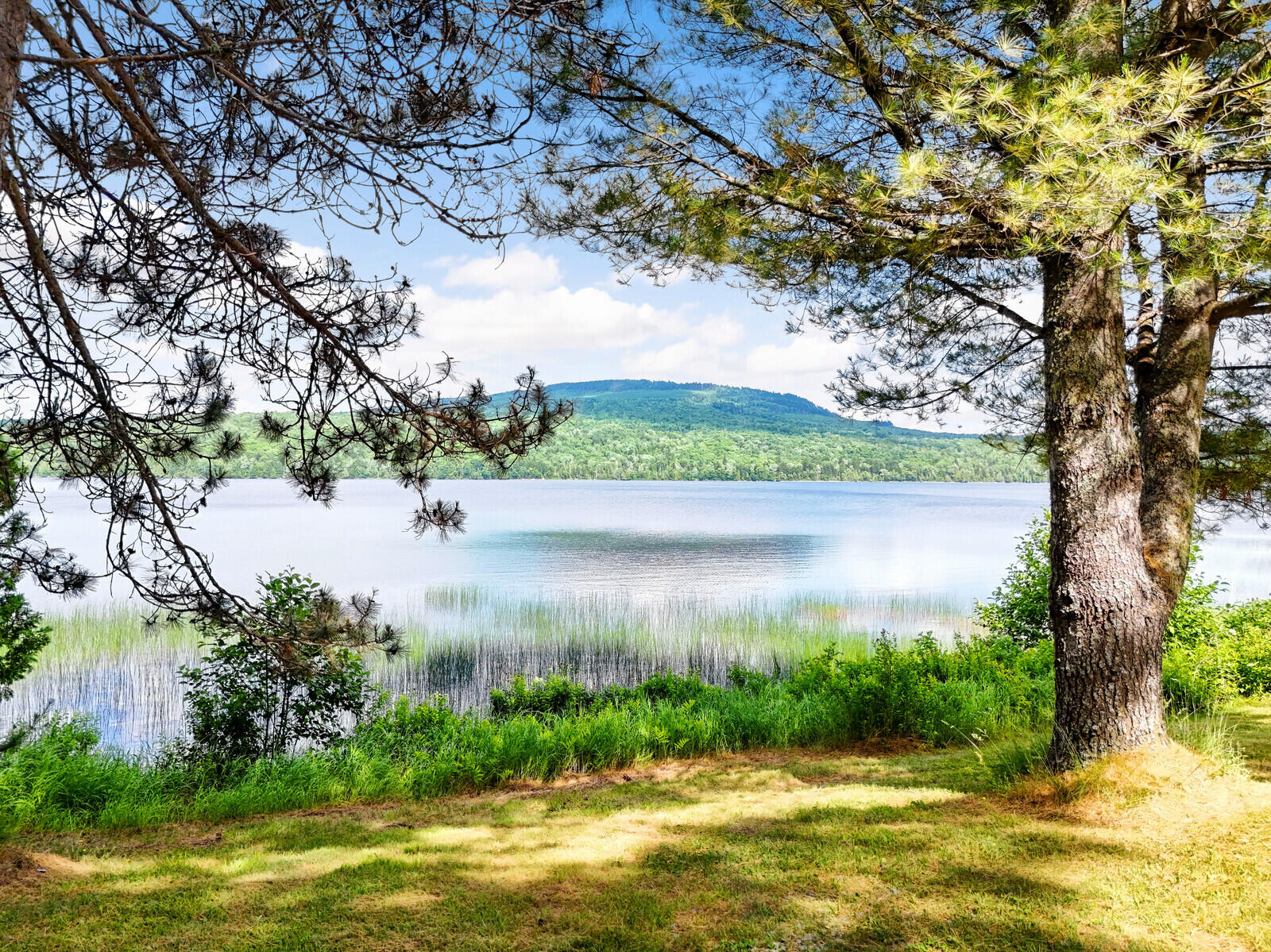 6003 Main Street Property Photo 88