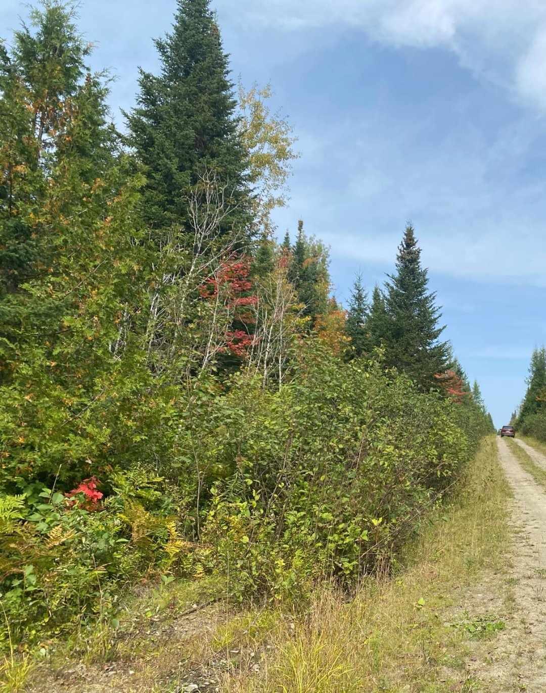 Lot 82.3 Stockholm Road Property Photo