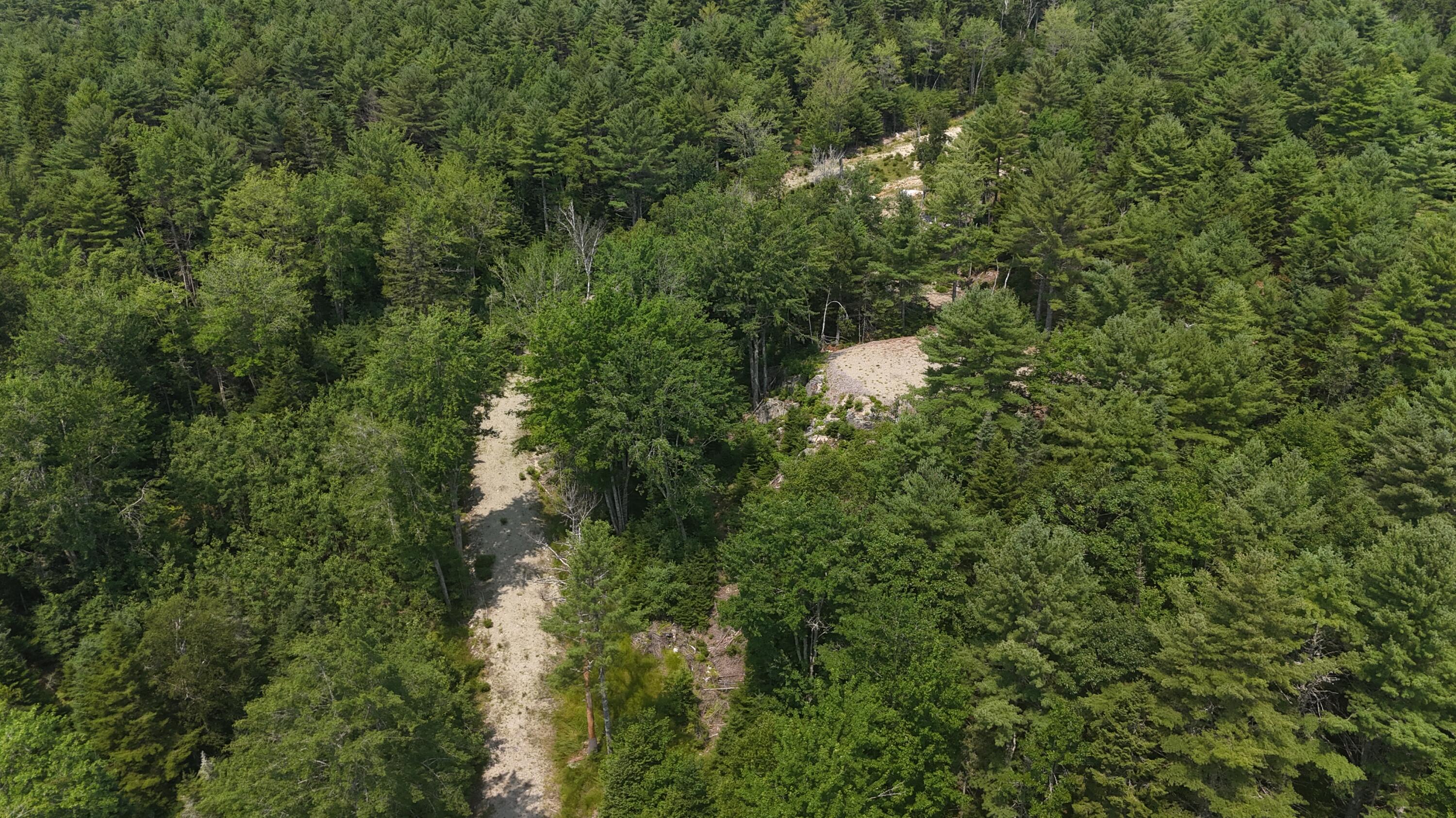 1920 Us Highway 1 Property Photo 6