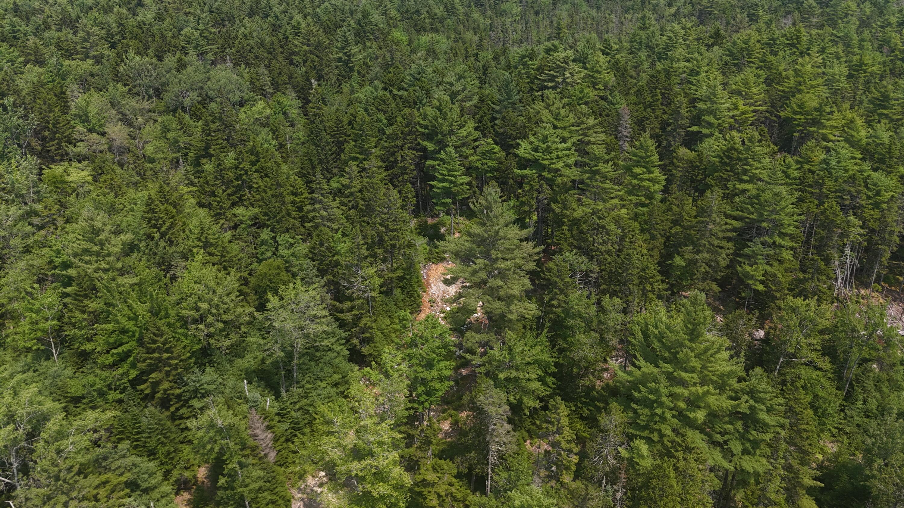 1920 Us Highway 1 Property Photo 8
