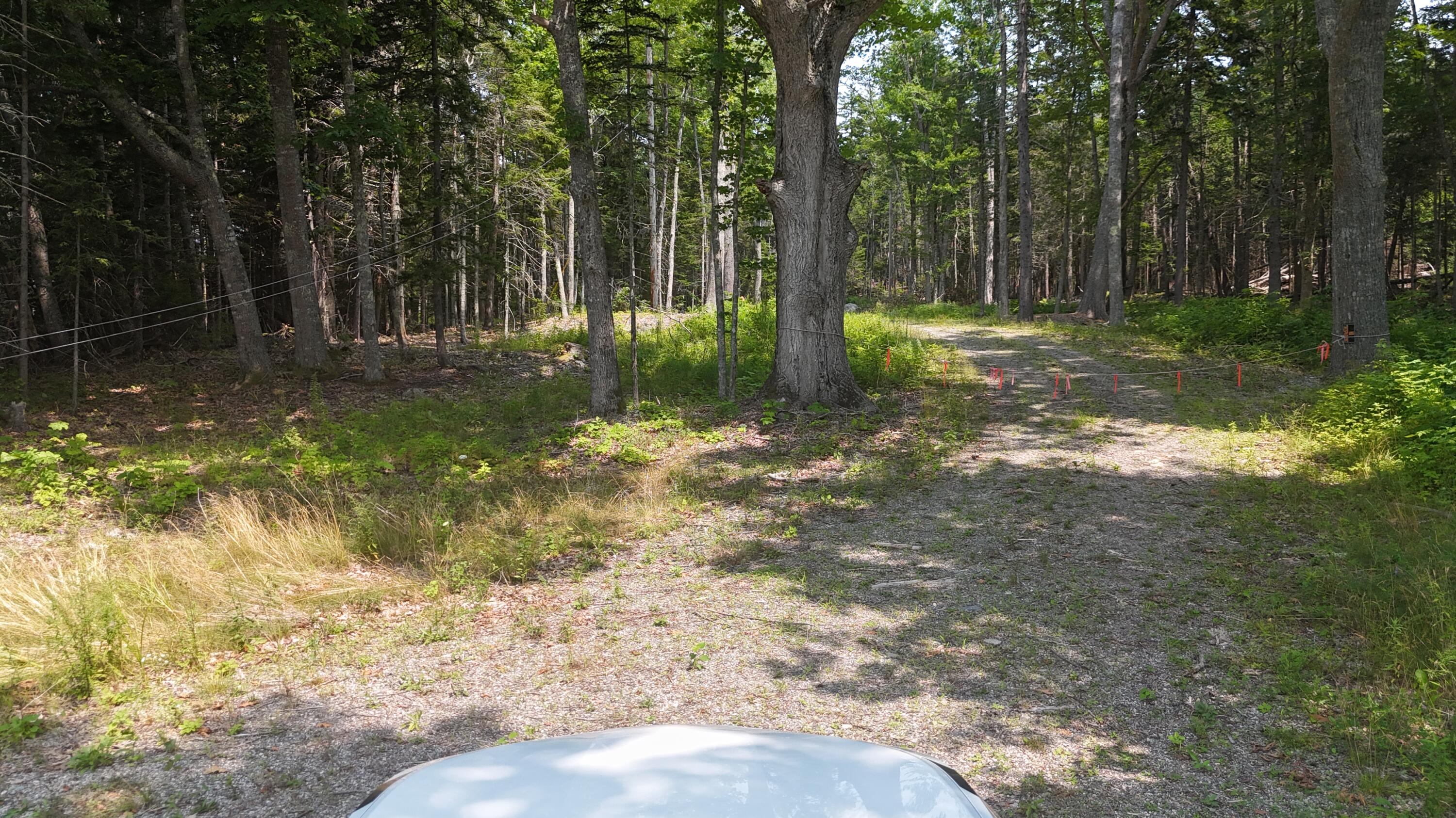 1920 Us Highway 1 Property Photo 17