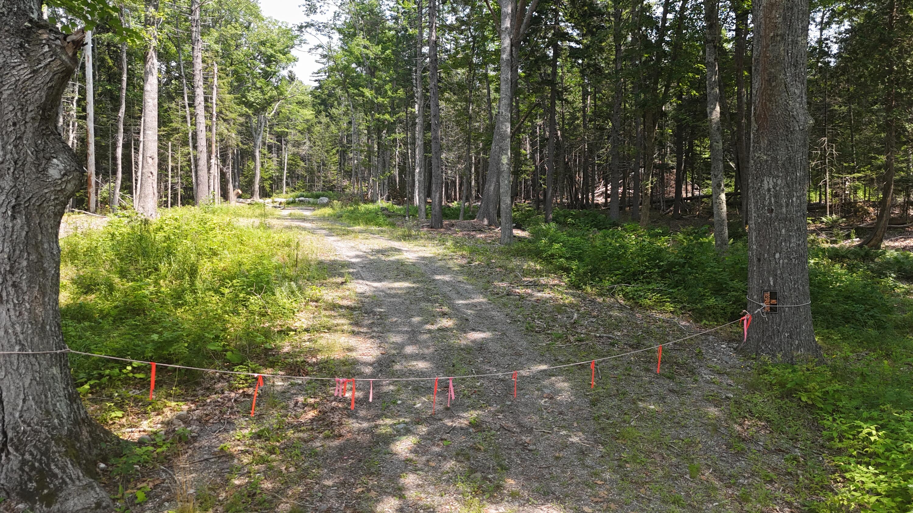 1920 Us Highway 1 Property Photo 18