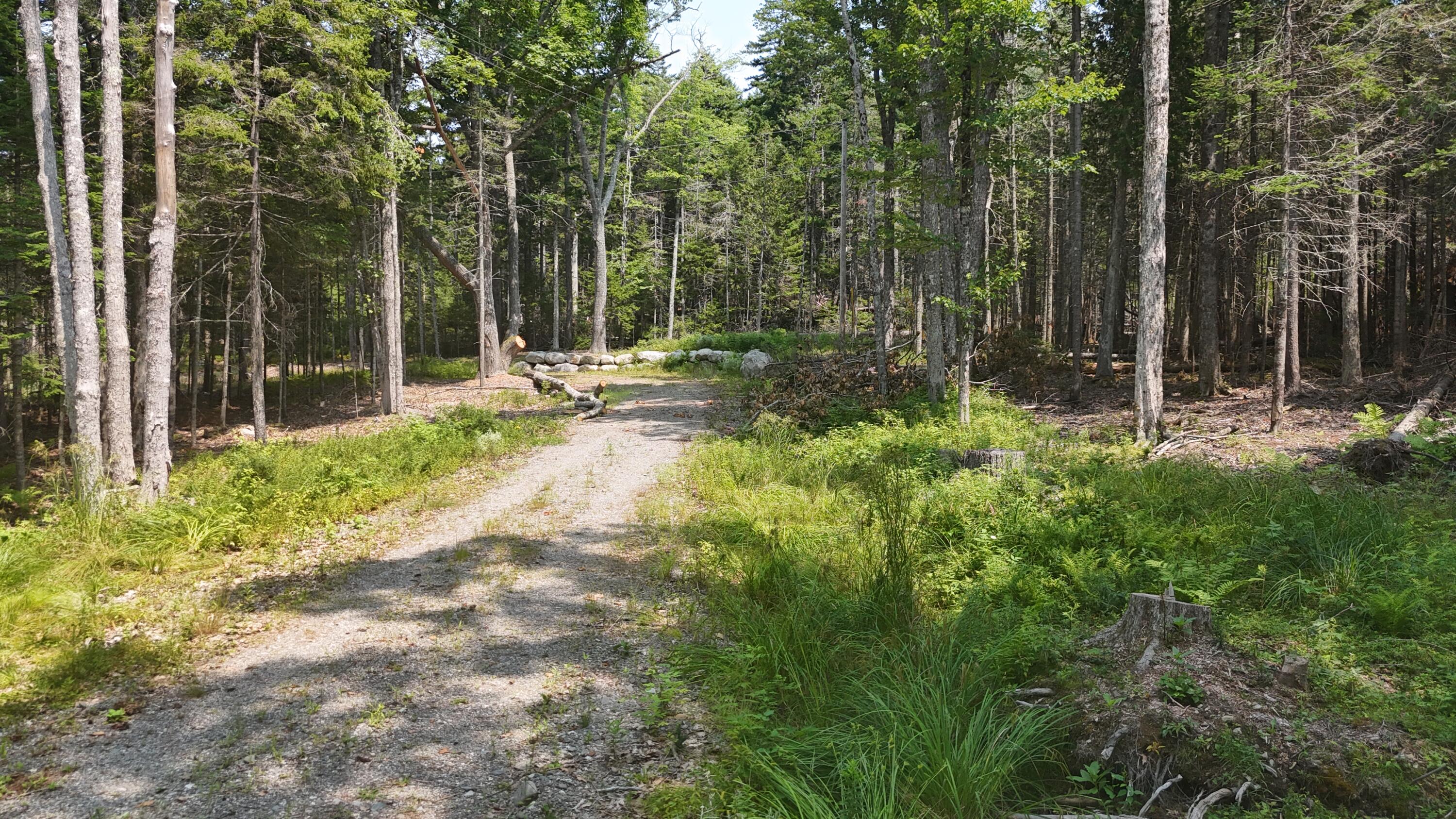 1920 Us Highway 1 Property Photo 20