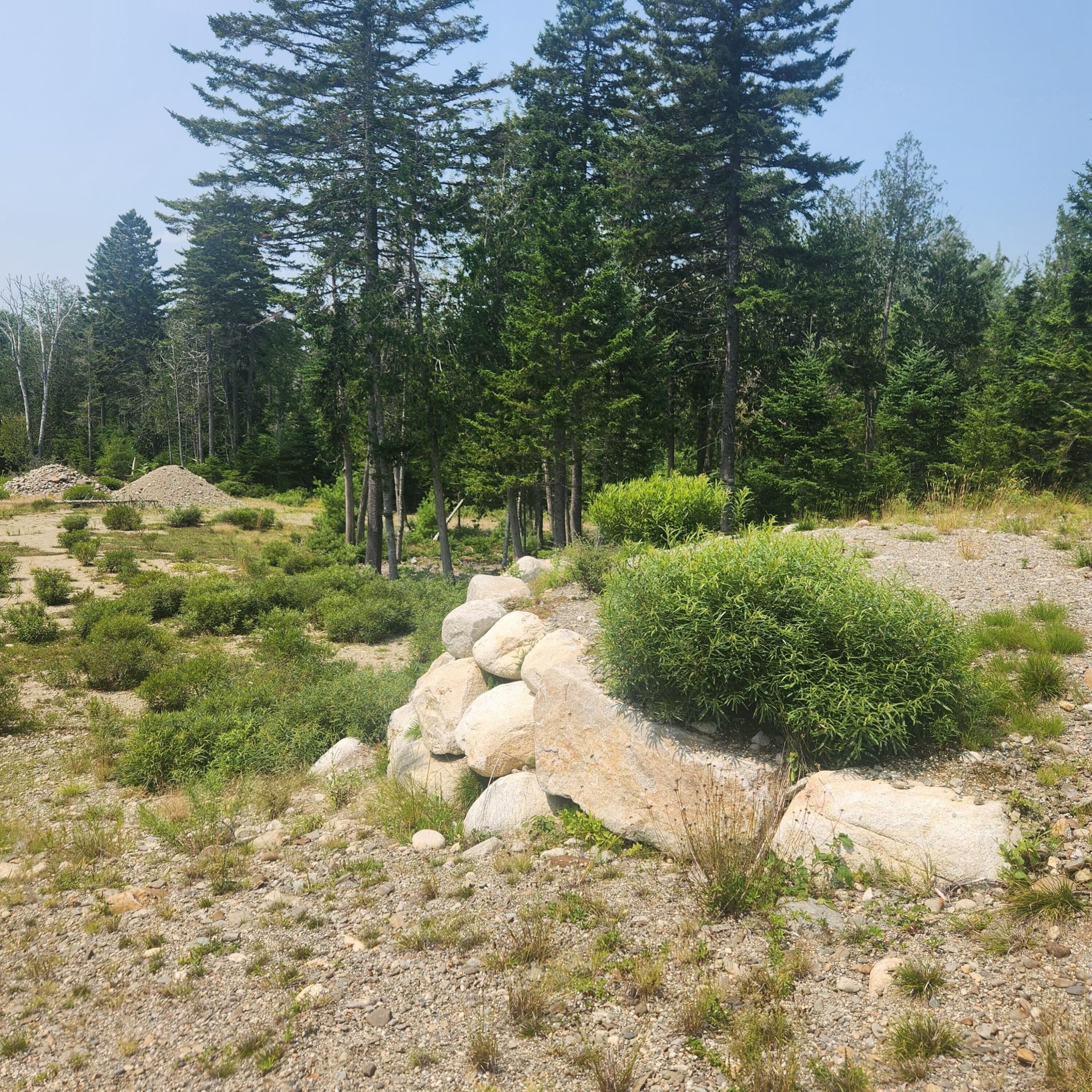 1920 Us Highway 1 Property Photo 34
