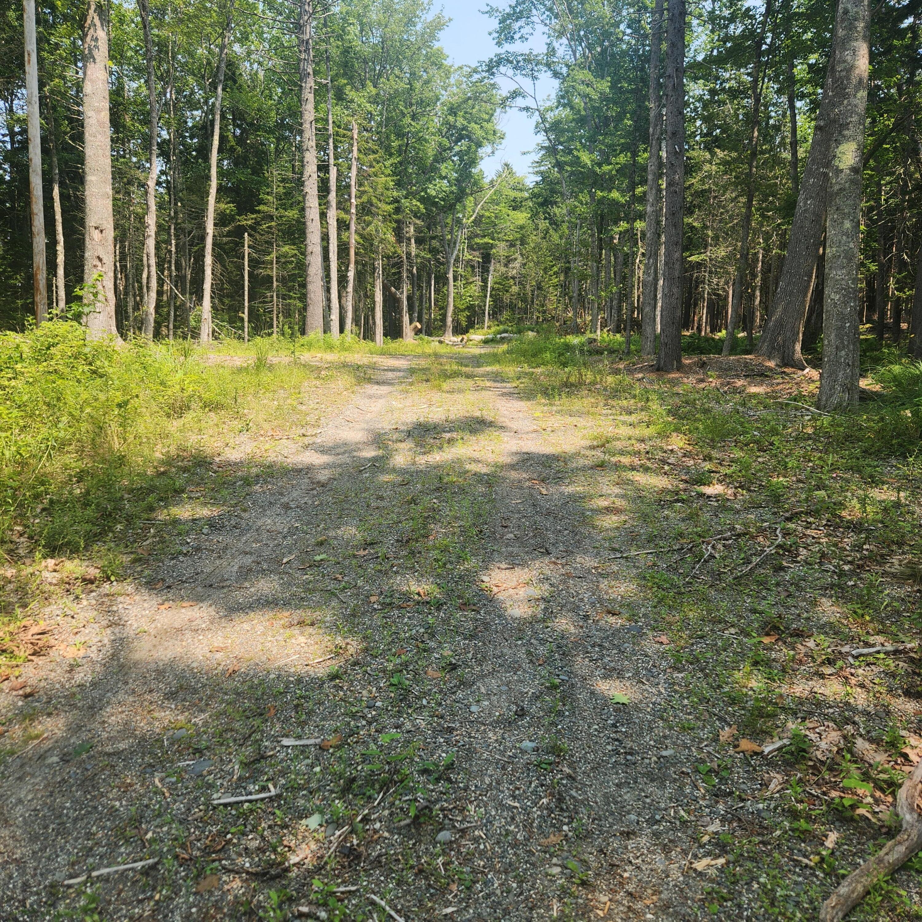 1920 Us Highway 1 Property Photo 36