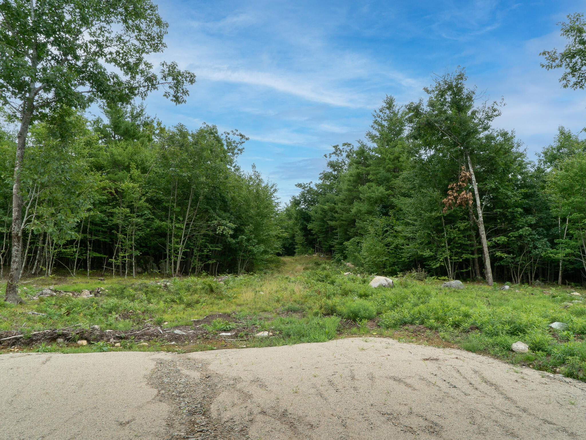 0 Sanford Road Road Property Photo 5
