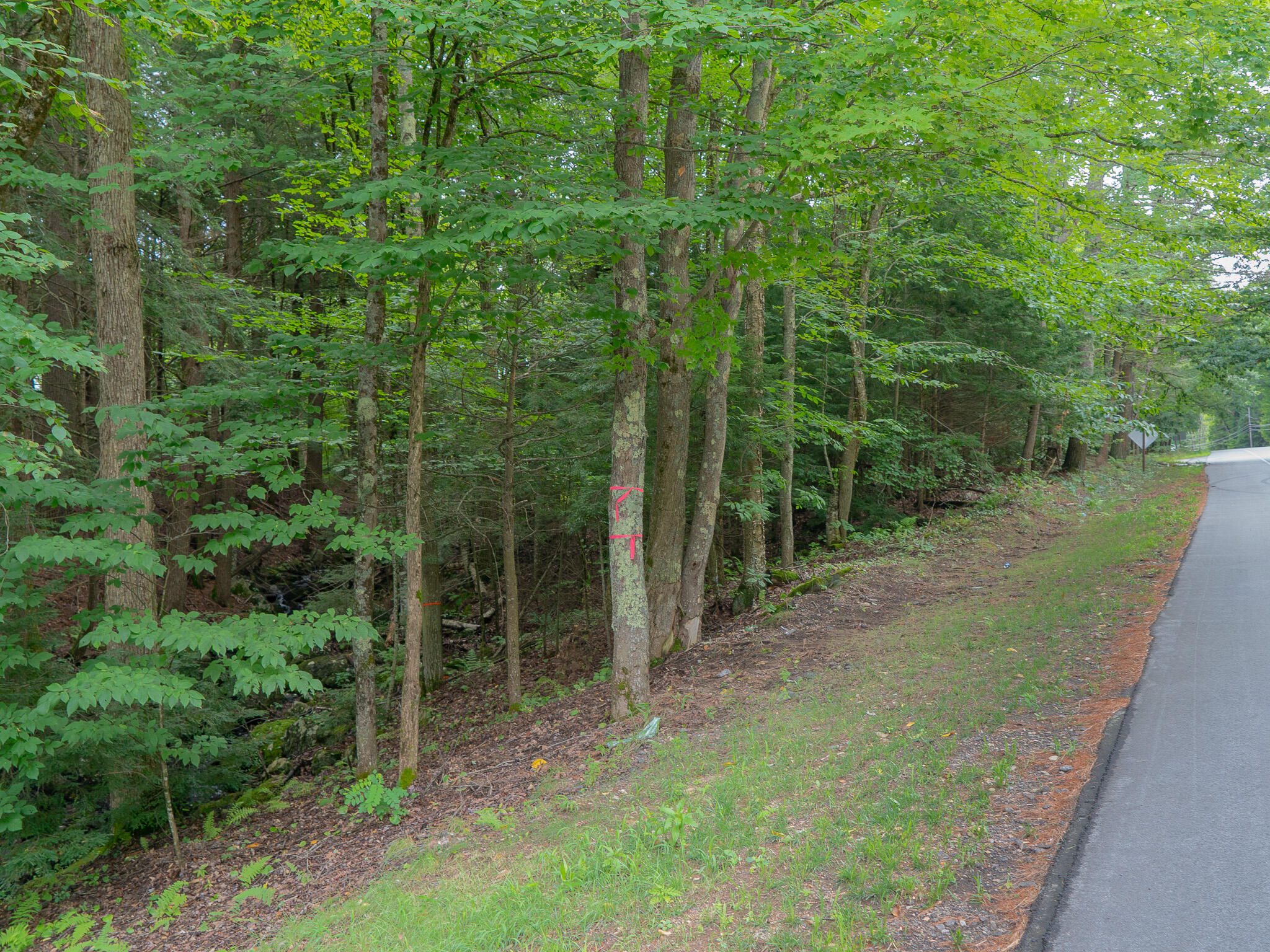 0 Sanford Road Road Property Photo 6