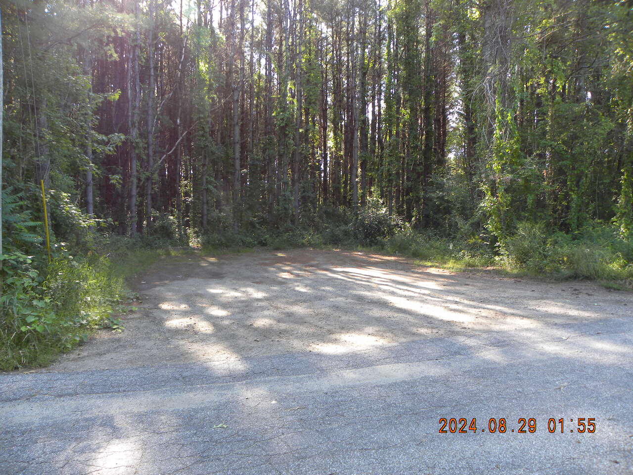 Lot A Bernier Road Property Photo 7