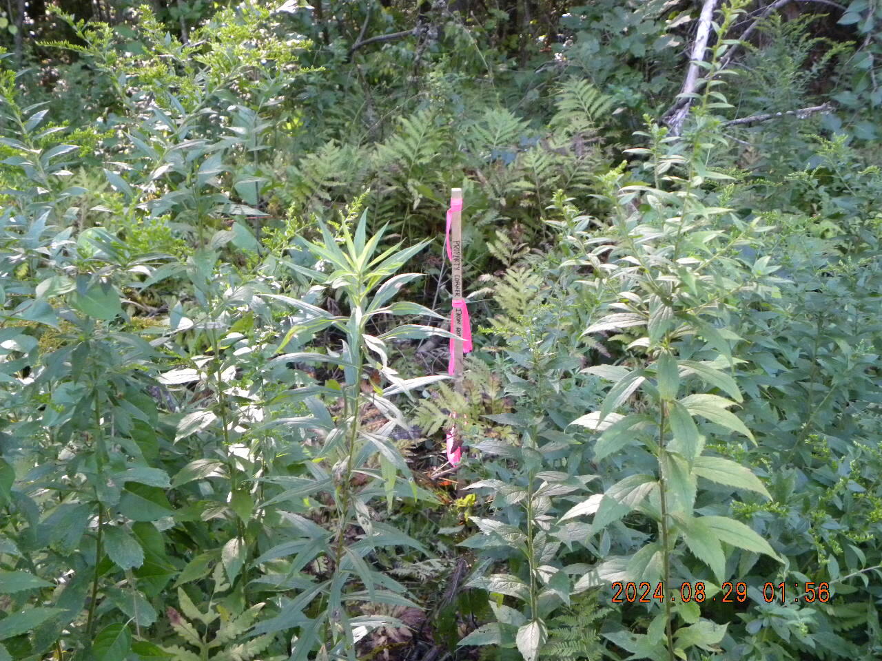 Lot A Bernier Road Property Photo 11