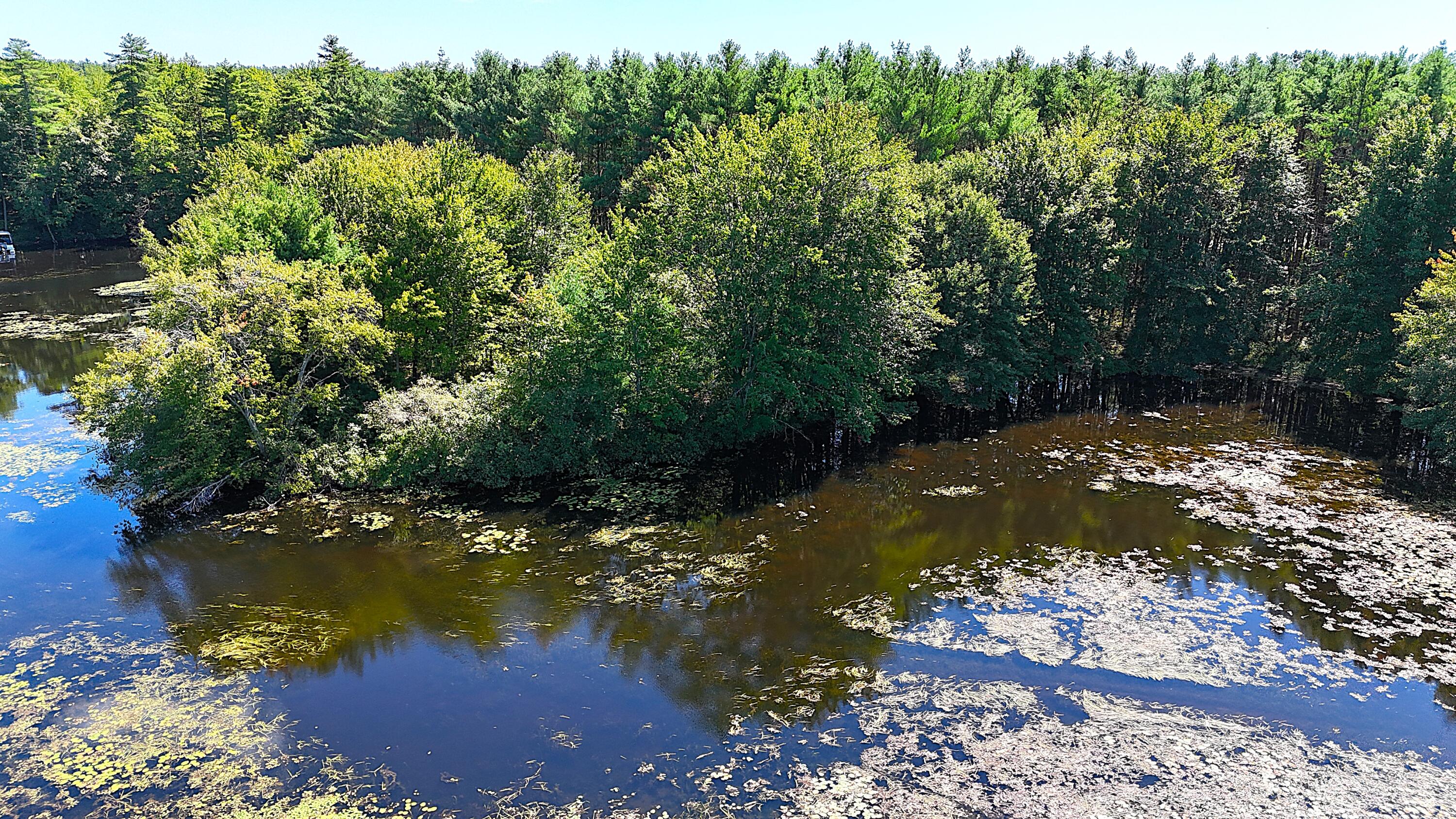 Lot A Bernier Road Property Photo 17