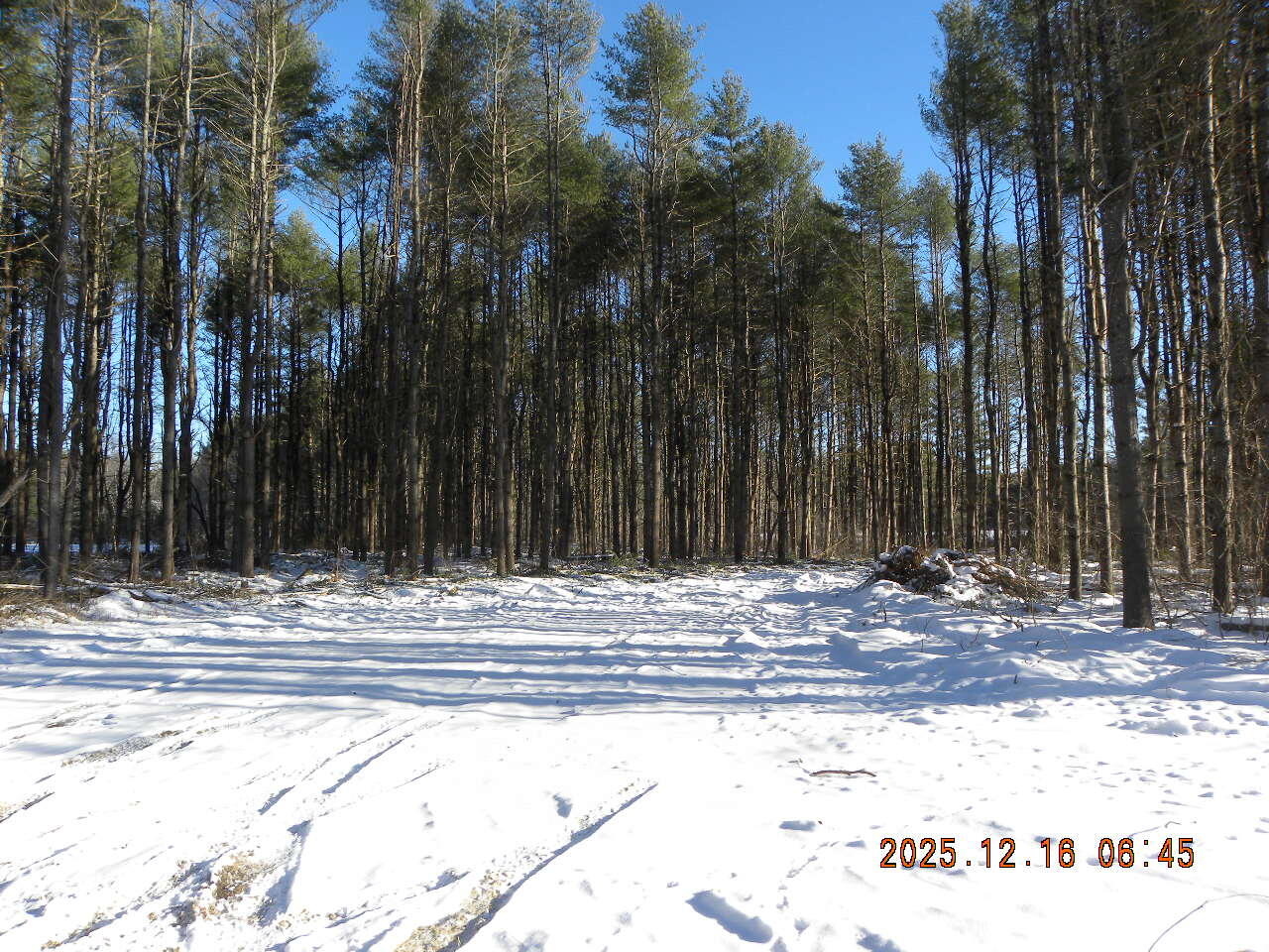 Lot A Bernier Road Property Photo 18