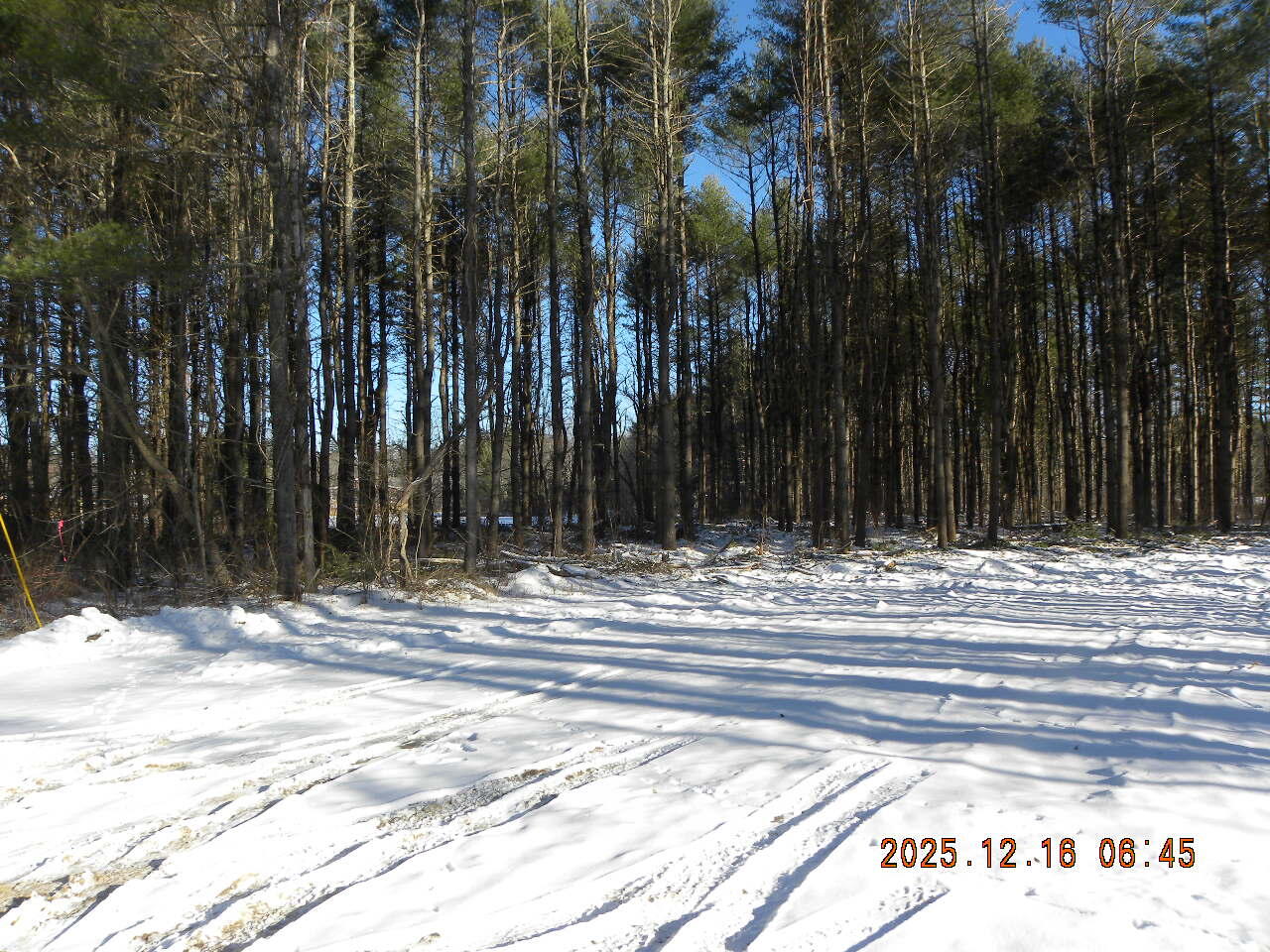 Lot A Bernier Road Property Photo 19