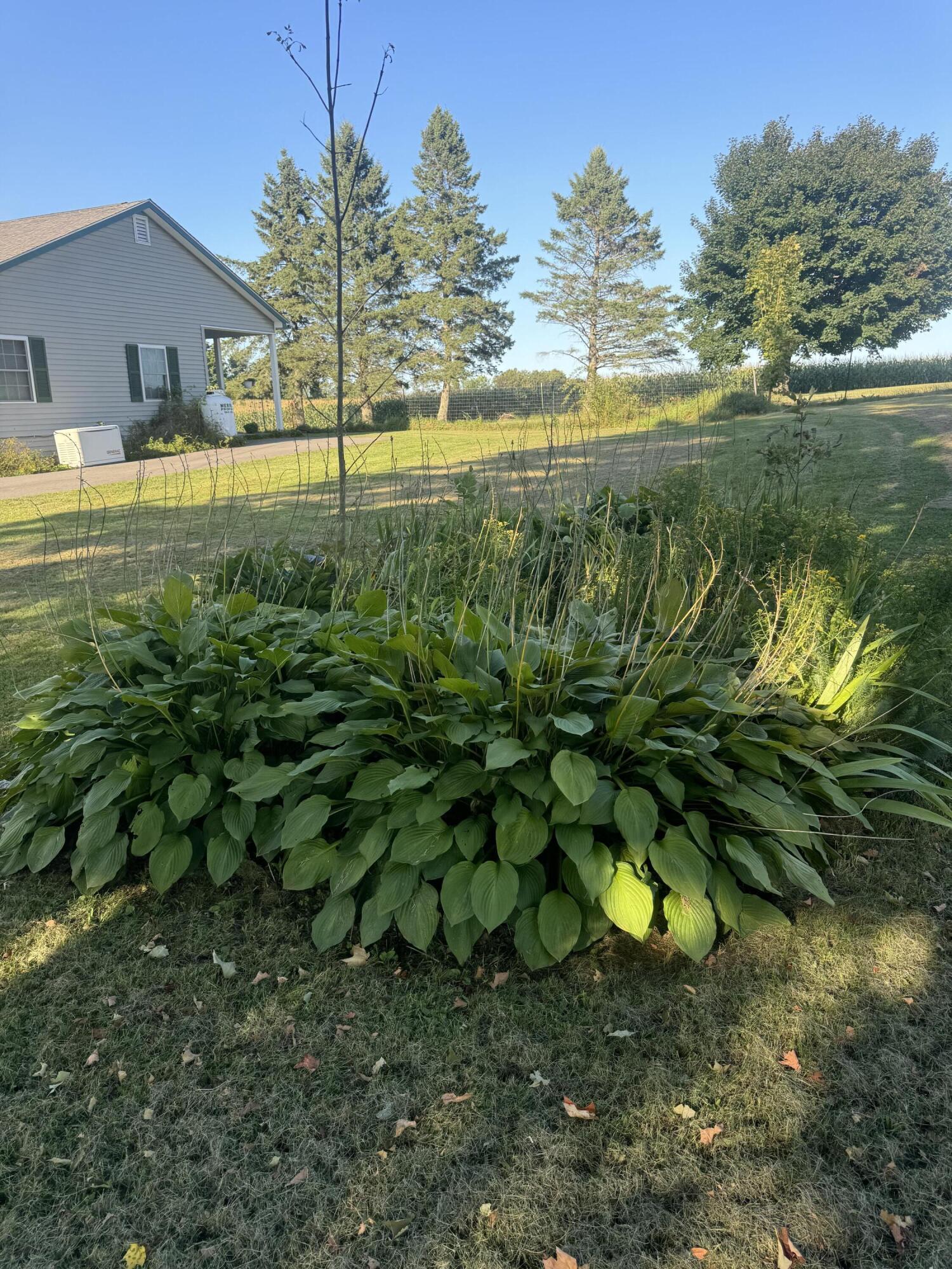 265 Main Road Property Photo 11