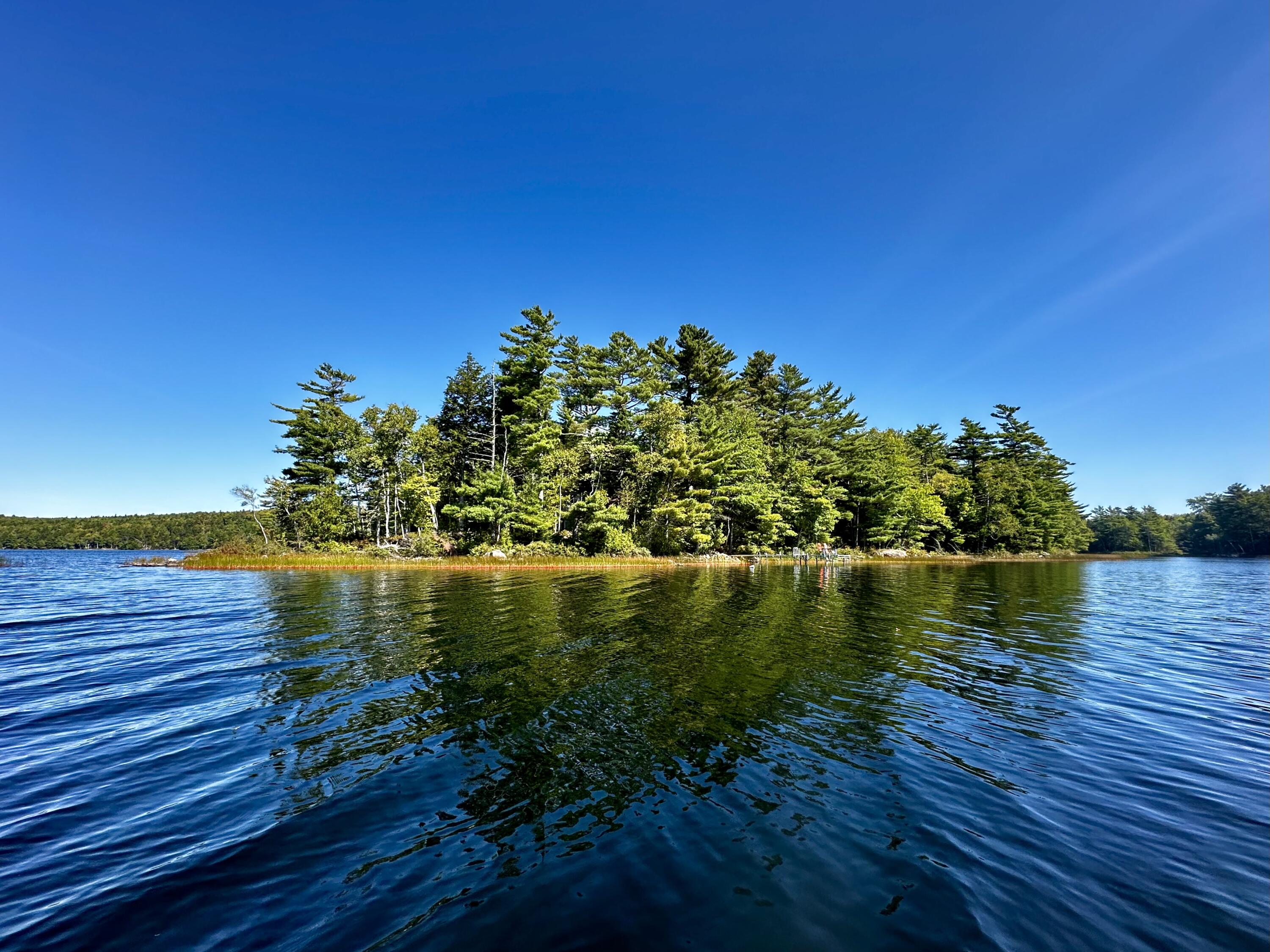 M35 L56 Nash's Lake Property Photo 3