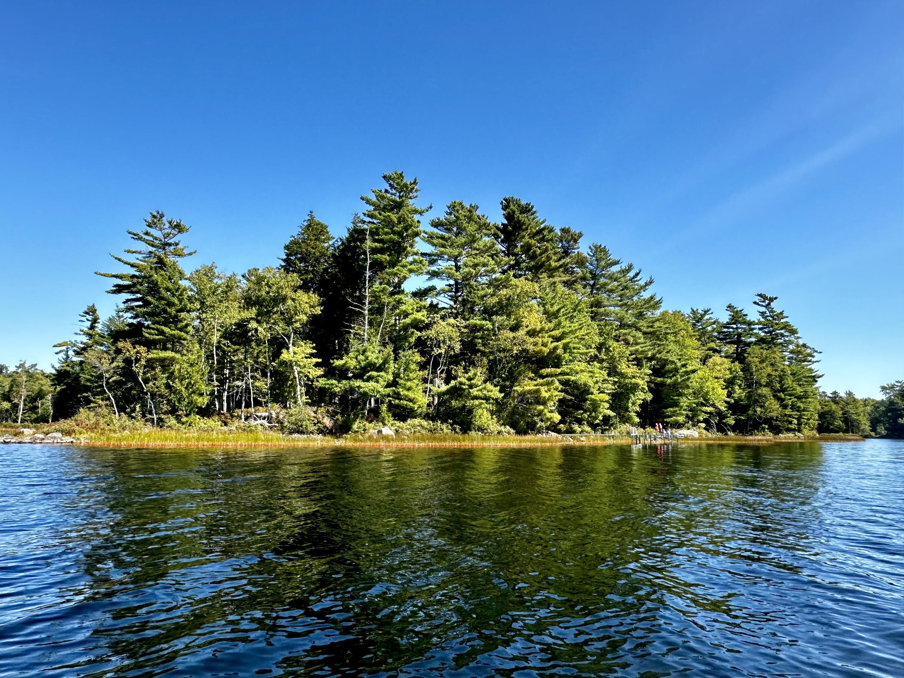 M35 L56 Nash's Lake Property Photo 4