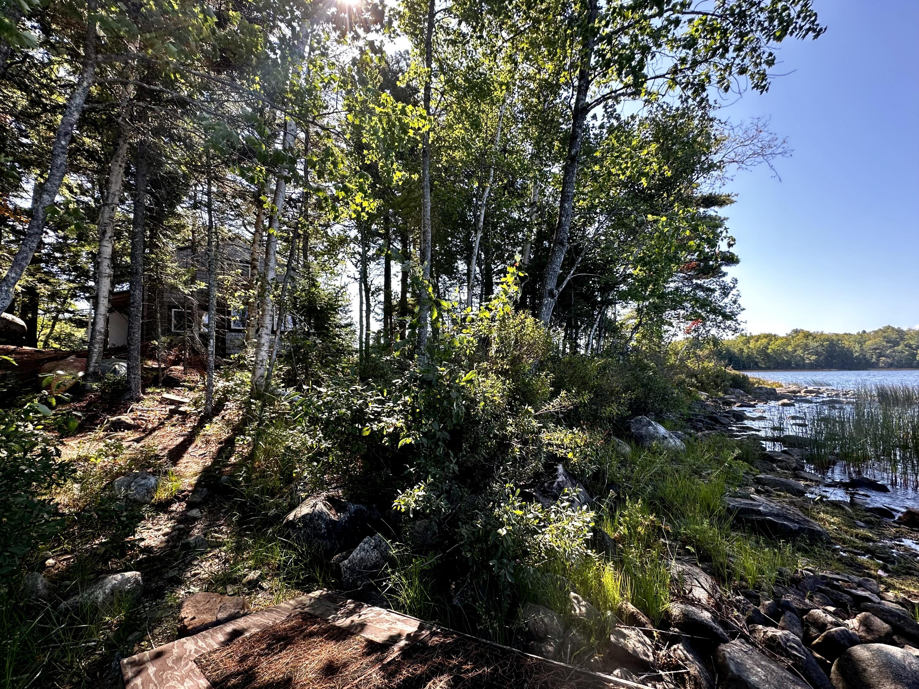 M35 L56 Nash's Lake Property Photo 5