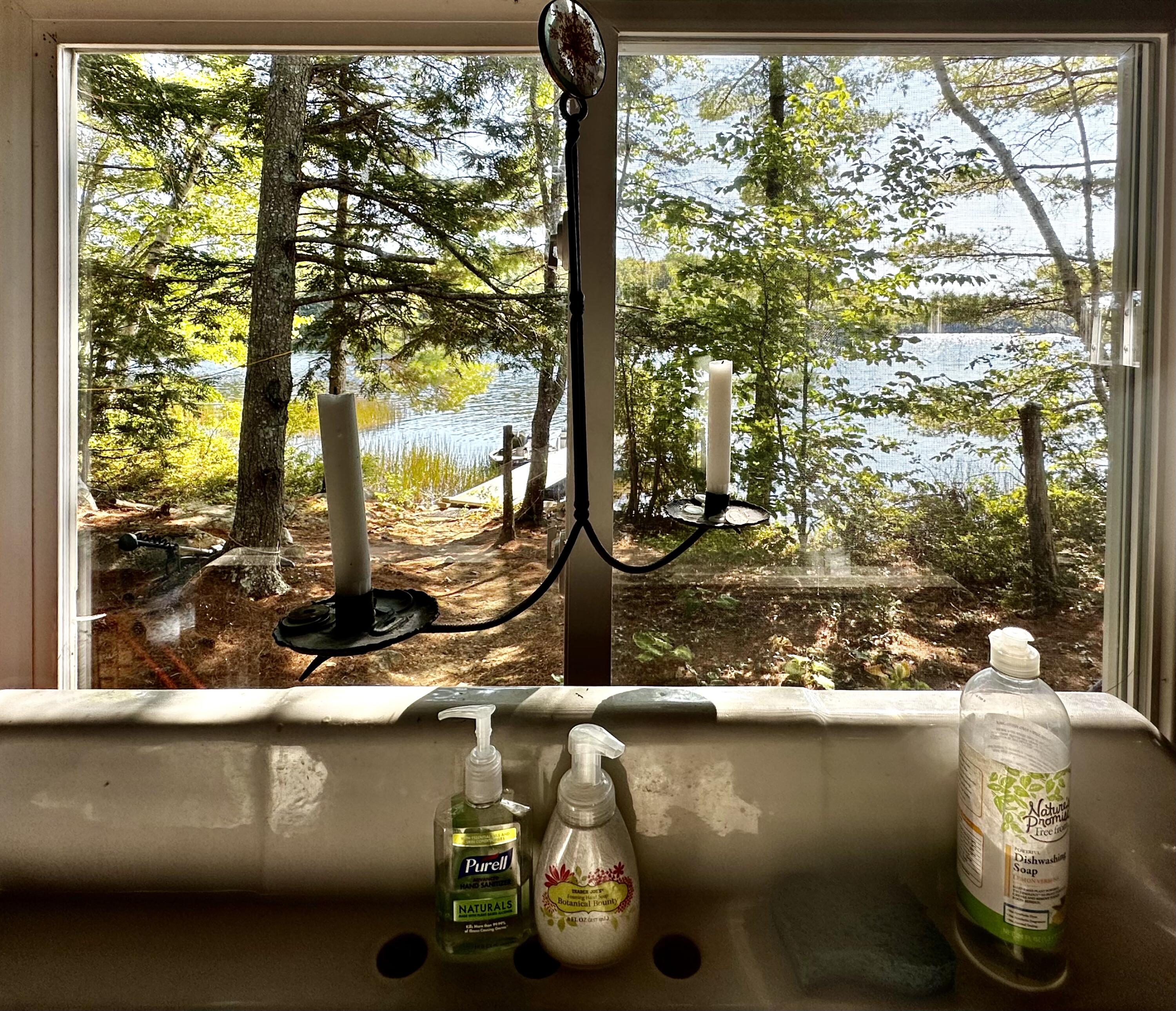 M35 L56 Nash's Lake Property Photo 18